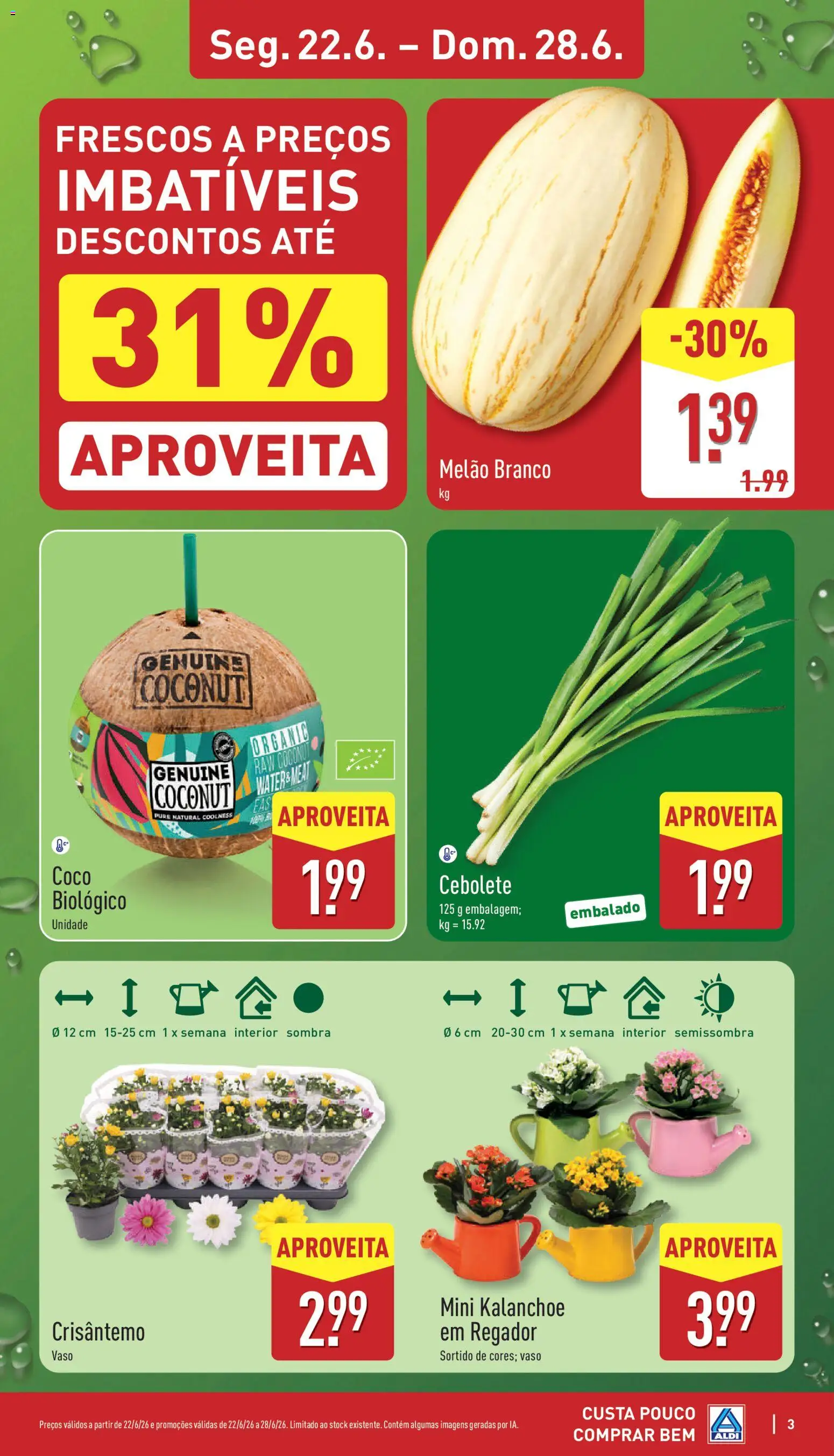 Aldi folheto │ válido de 22.06.2026 | Página: 3 | Produtos: Vaso, Melão