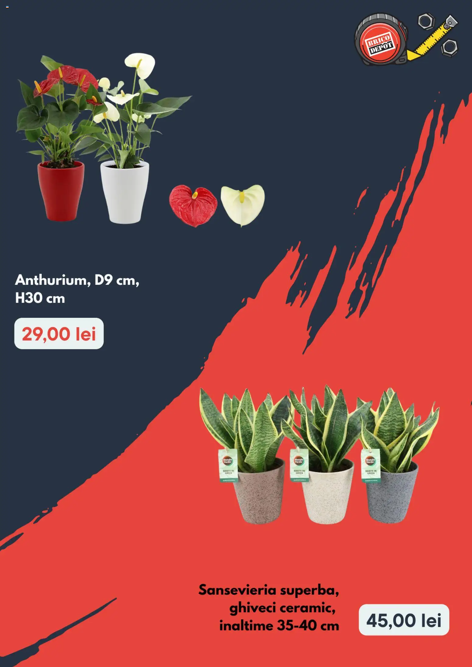 Noul catalog Brico Depot – valabil de la 03.09.2026 | Pagină: 3 | Produse: Ghiveci