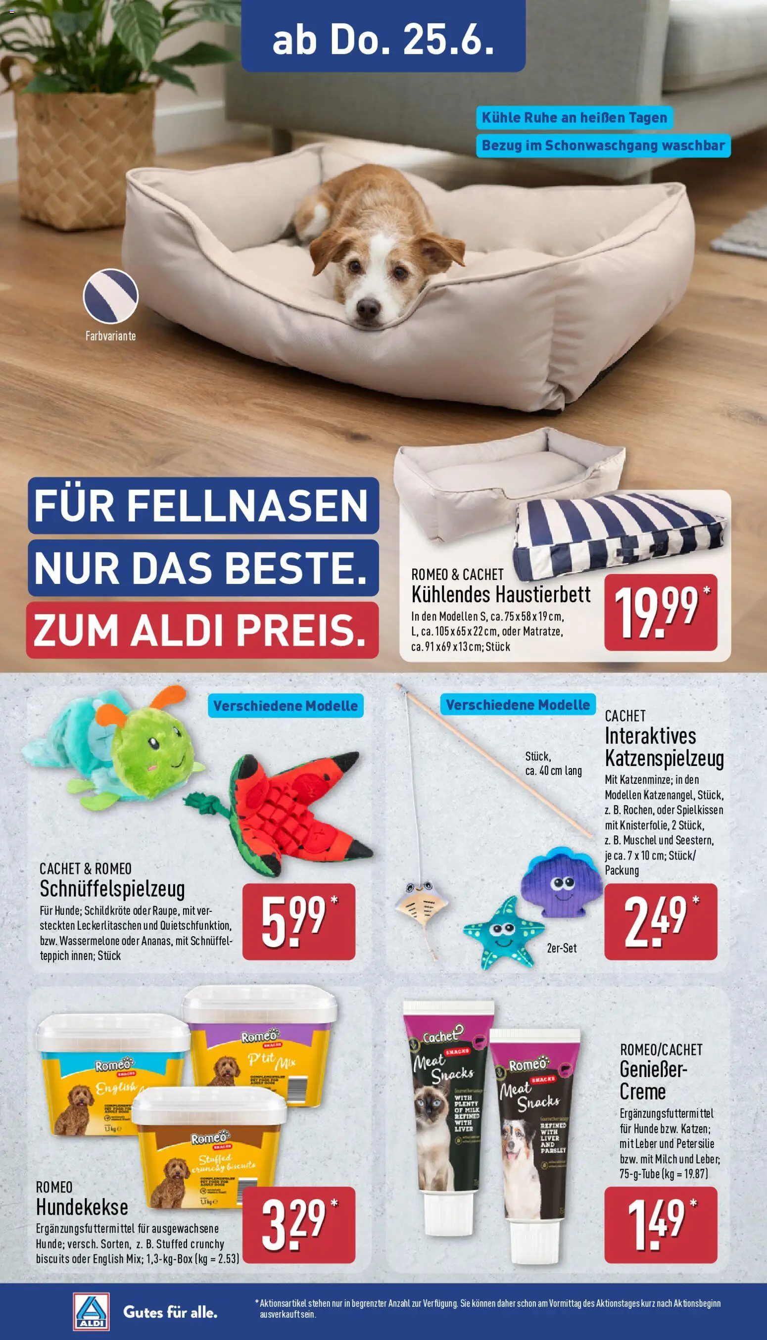Aldi Prospekt – gültig ab 22.06.2026 | Seite: 22 | Produkte: Milch, Teppich, Creme, Wassermelone