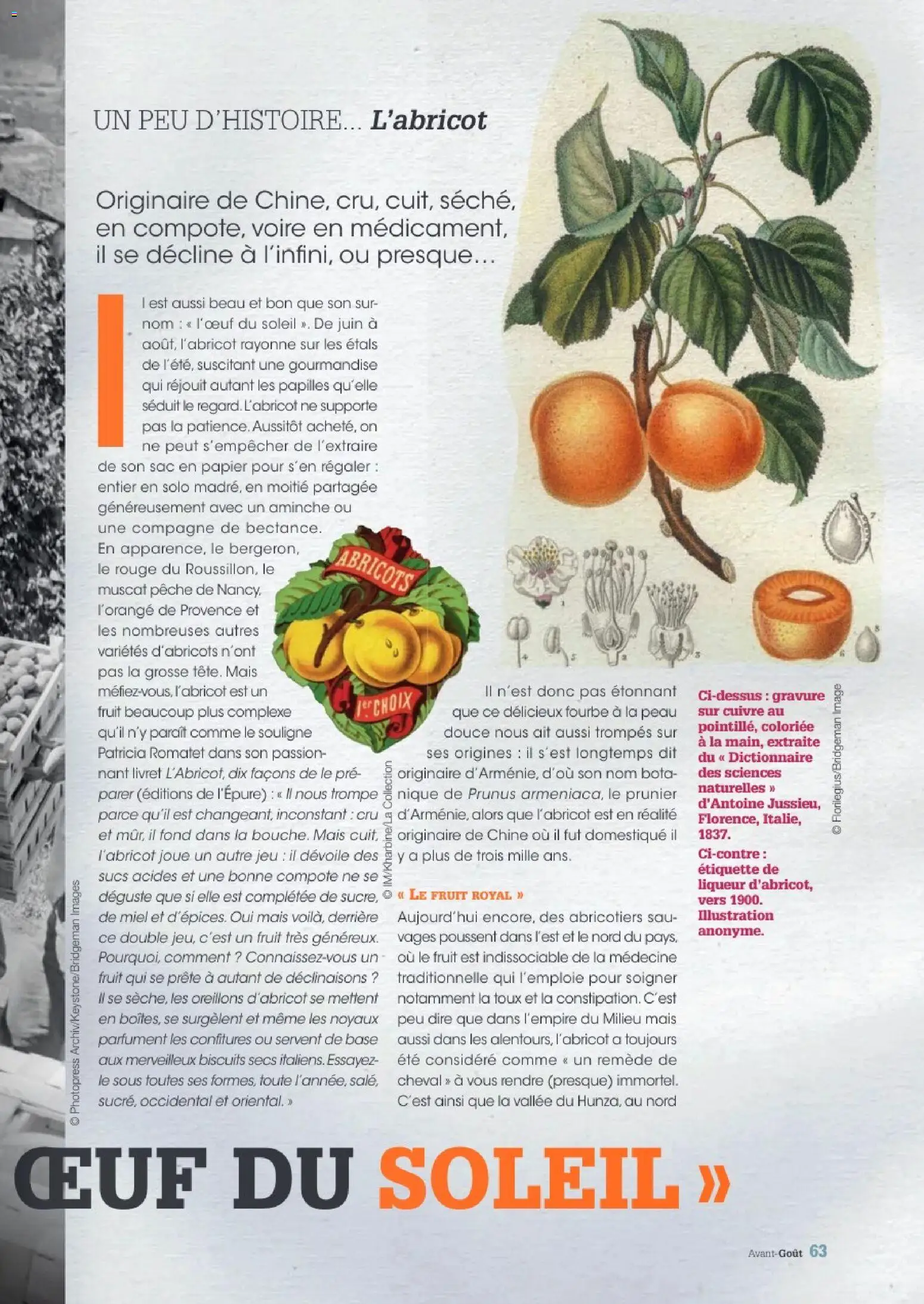 {H1} | Page: 63 | Produits: Pêche, Mais, Miel, Abricots