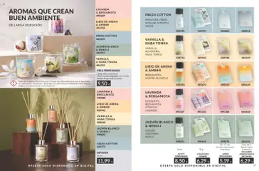 Vista previa RECAMBIO AMBIENTADOR DE COCHE, Pack de 2. Duran hasta 3 semanas. válido desde el 01/07/2026 | Página: 196 | Productos: Perfume, Aceite, Manzana, Vela