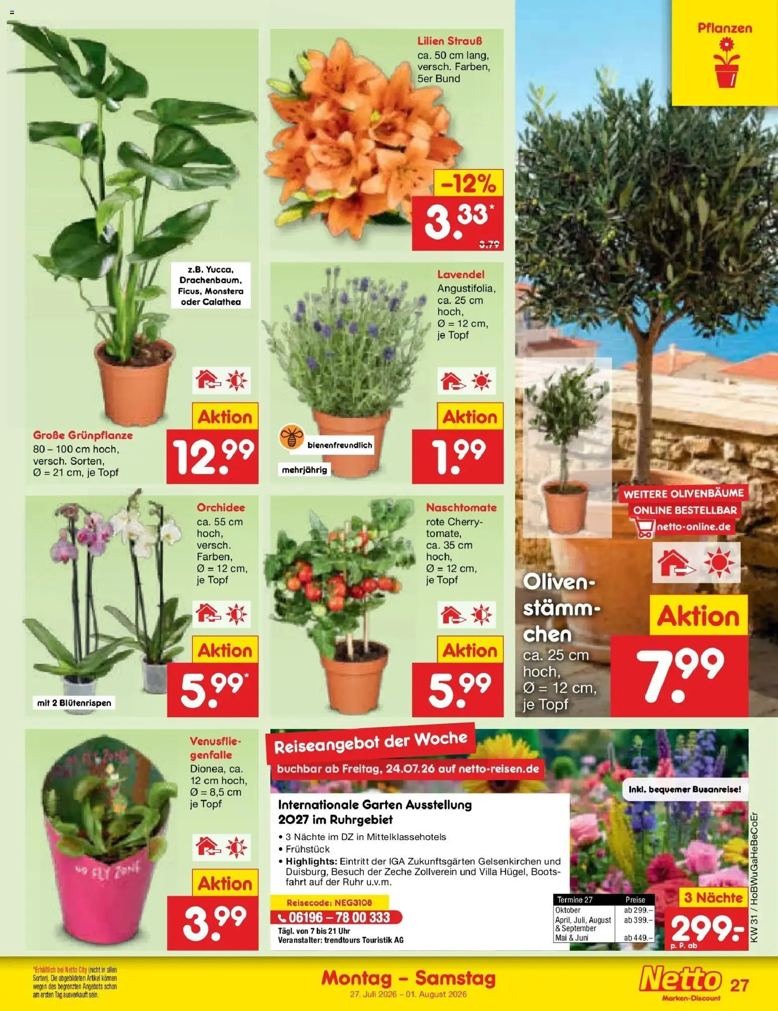 Netto Marken-Discount Prospekt Naumburg – gültig ab 27.07.2026 | Seite: 42 | Produkte: Orchidee, Lavendel, Uhr
