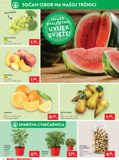 Spar Katalog - Pregled kataloga iz trgovine Spar, vrijedi od 13.05.2026 | Stranica: 6 | Proizvodi: Rajčice, Nektarina, Grožđe, Kruška