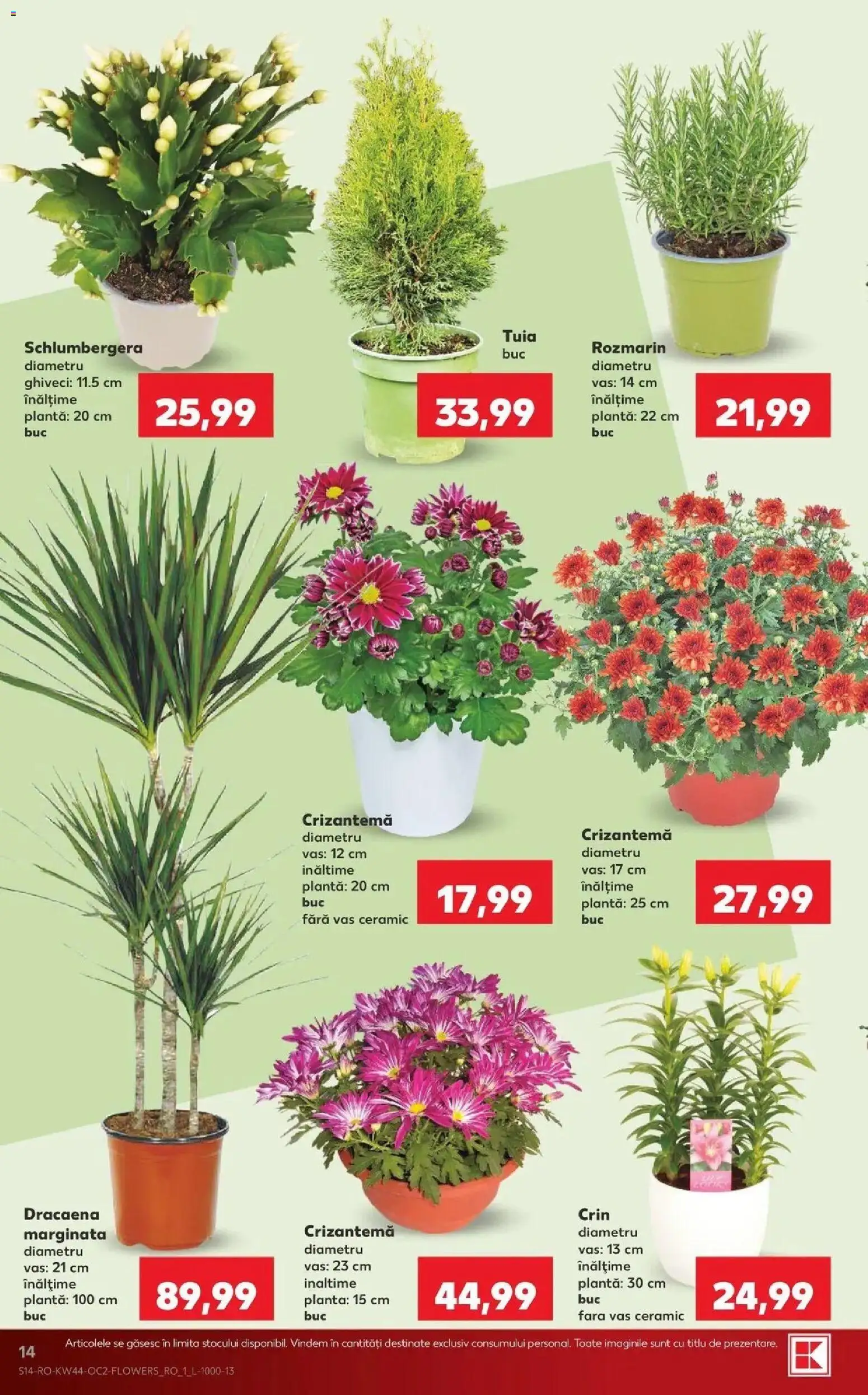 Kaufland Comarnic 28.10.2026 - Revista si Oferta | Pagină: 14 | Produse: Ghiveci