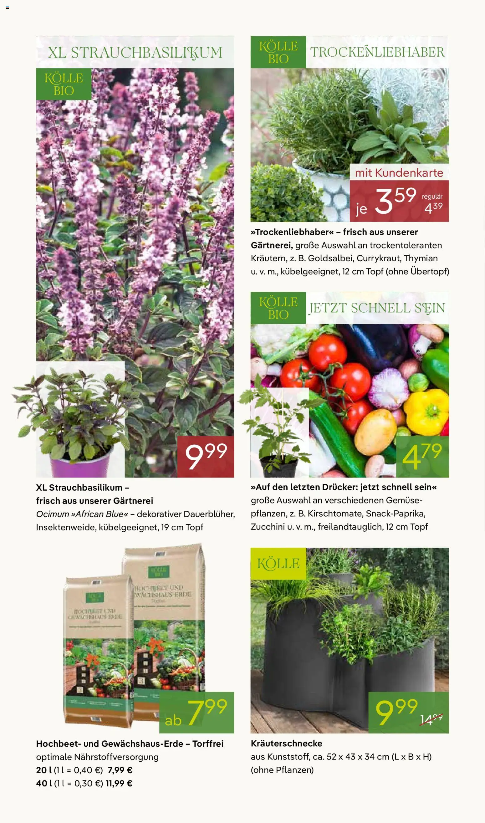 Pflanzen-Kölle Prospekt 	 – gültig ab 11.05.2026 | Seite: 8 | Produkte: Hochbeet, Gemüse, Zucchini, Drucker