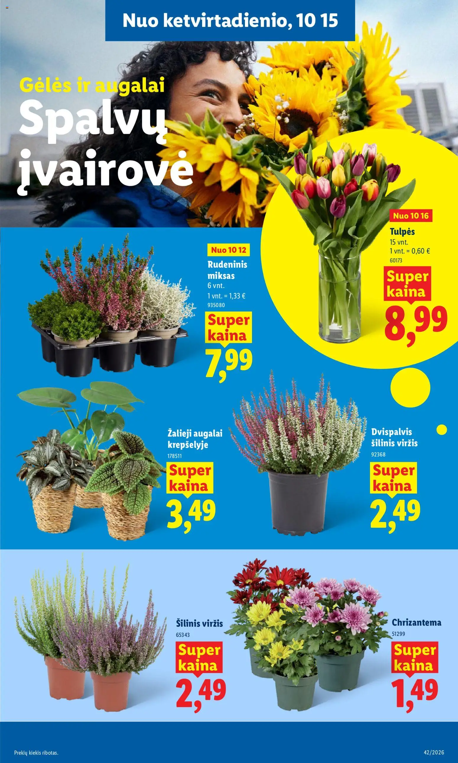 LIDL akcijos nuo 2026.10.12 | Puslapis: 45