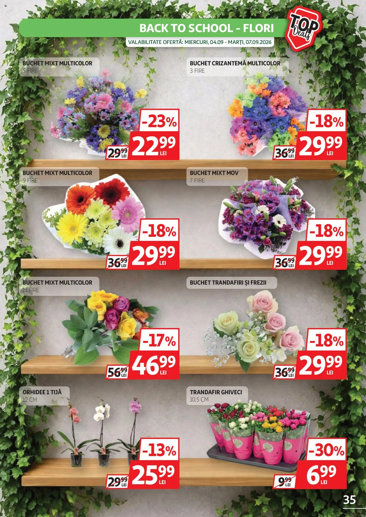 Noul catalog Auchan – valabil de la 26.08.2026 | Pagină: 35 | Produse: Trandafir, Orhidee, Ghiveci, Flori