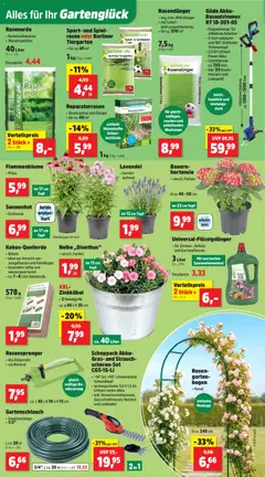 Thomas Philipps Prospekt ab 13.07.2026 gültig | Seite: 4 | Produkte: Hortensie, Lavendel, Netzteil, Ladegerät