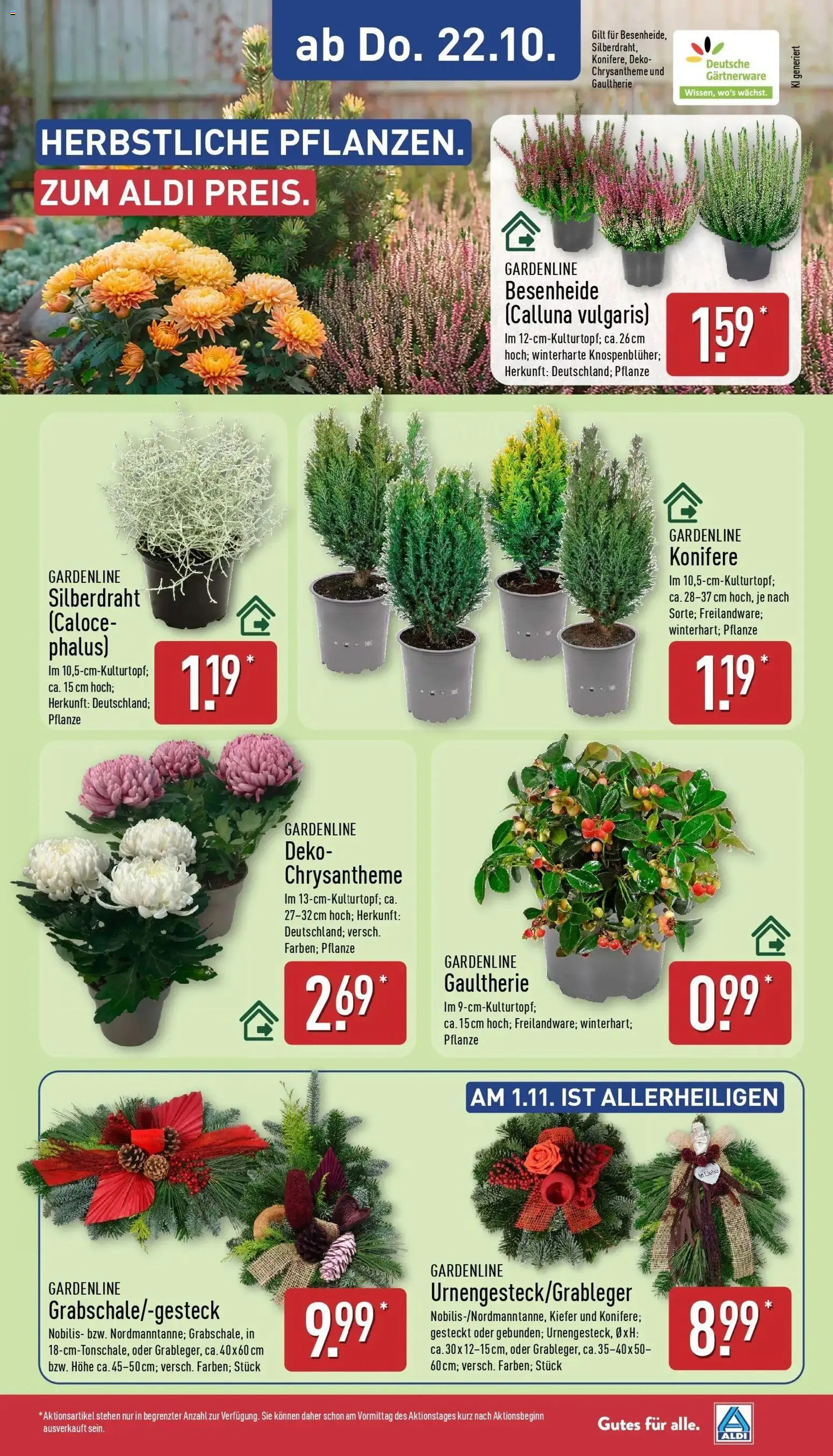 Aldi Aktueller Prospekt (ab 19.10.2026) » Angebote Online | Seite: 29