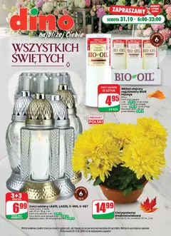 Pogląd oferty "Dino gazetka - Wszystkich Świętych" - ważna od 28.10.2026