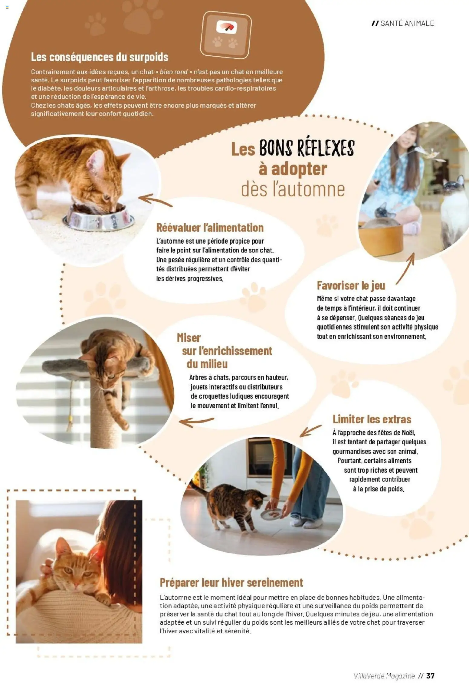 {H1} | Page: 37 | Produits: Poids, Alimentation, Prise, Magazine