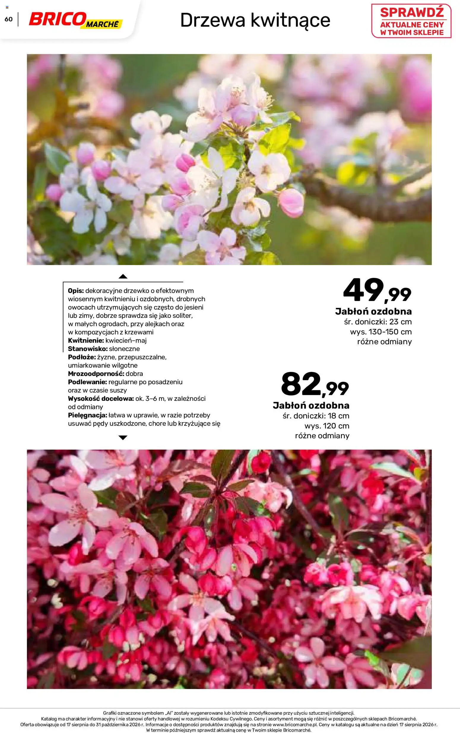 Brico Marché gazetka - Jesienne Inspiracje od 17.08.2026 | Strona: 60 | Produkty: Podłoże, Doniczki