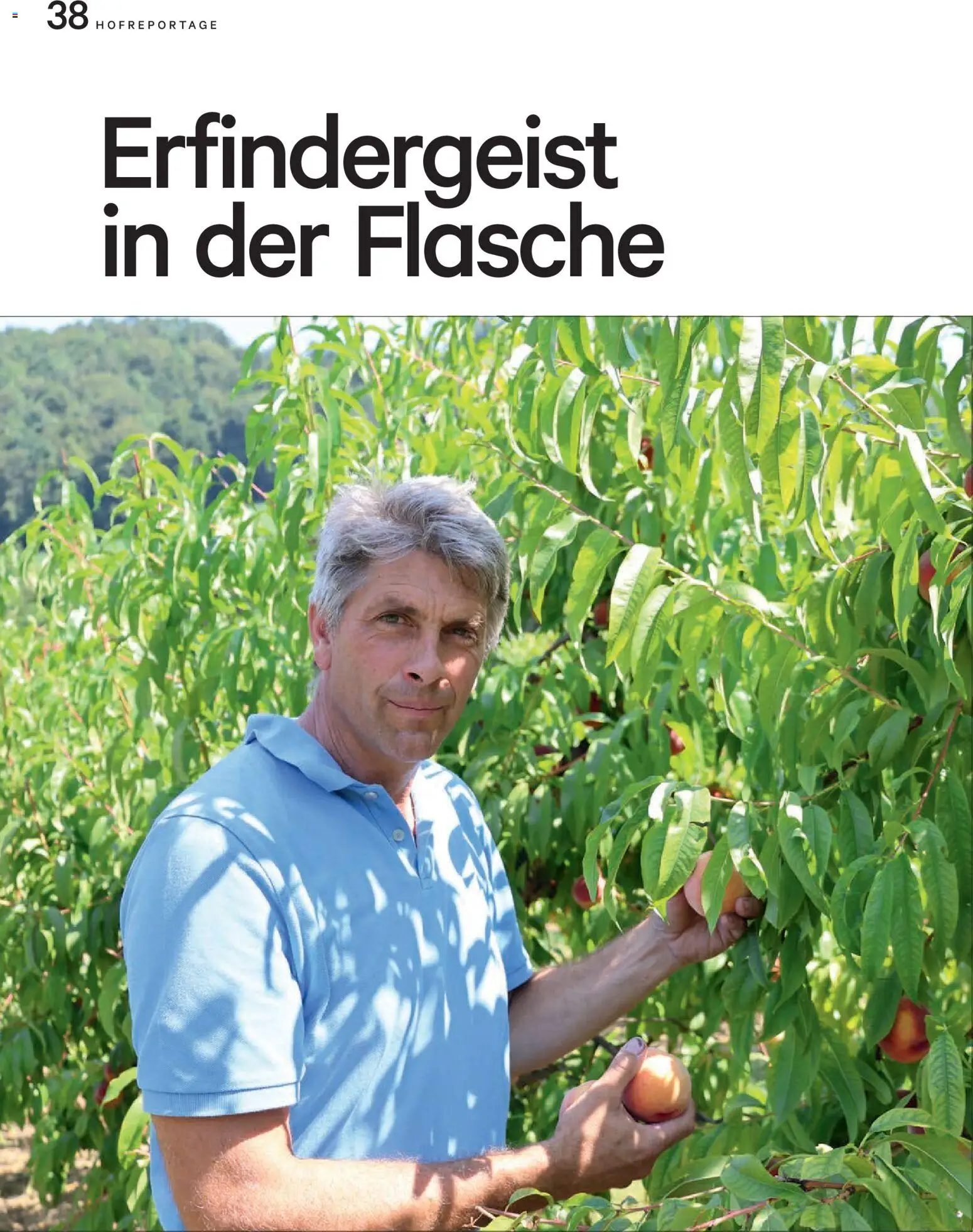Lagerhaus Unser Land September 2026 gültig ab 01.09.2026 | Seite: 38