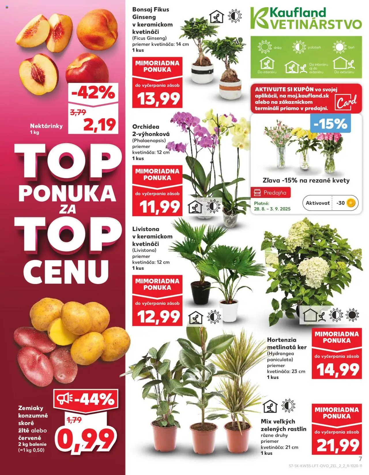 Nové Kaufland akcie – leták je platný od 28.08.2025 | Strana: 7 | Produkty: Zemiaky, Kvety, Orchidea