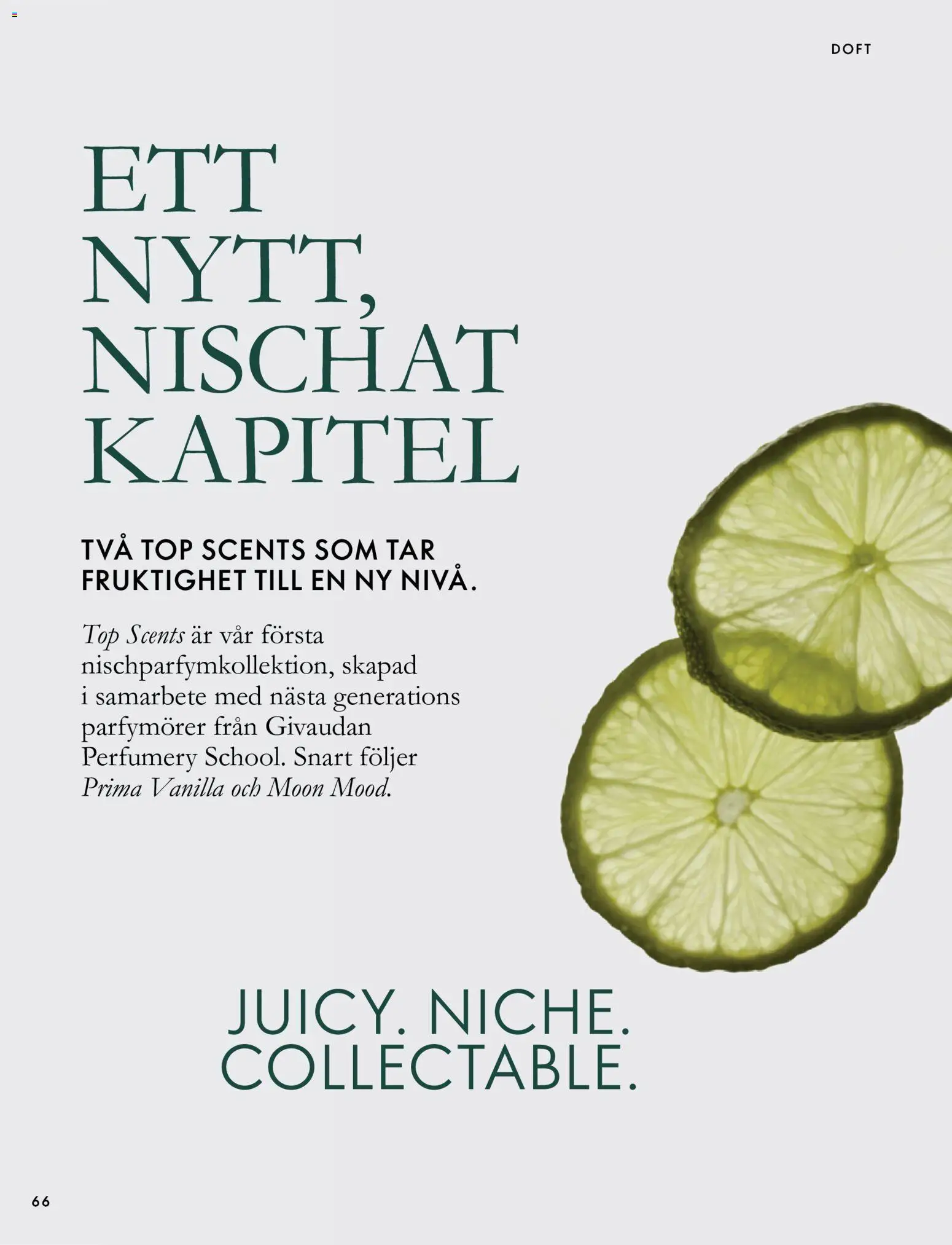 Oriflame reklamblad aktuell från 07/10/2026 | Sida: 66