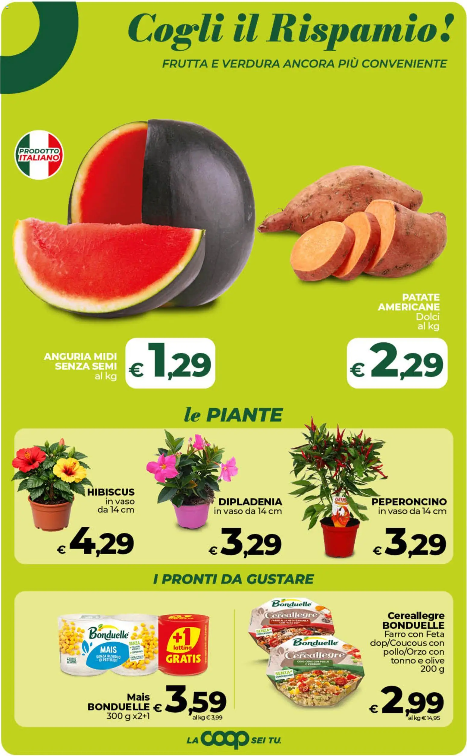 Volantino Ipercoop del 29.05.2026 | Pagina: 24 | Prodotti: Pollo, Tonno, Vaso, Farro
