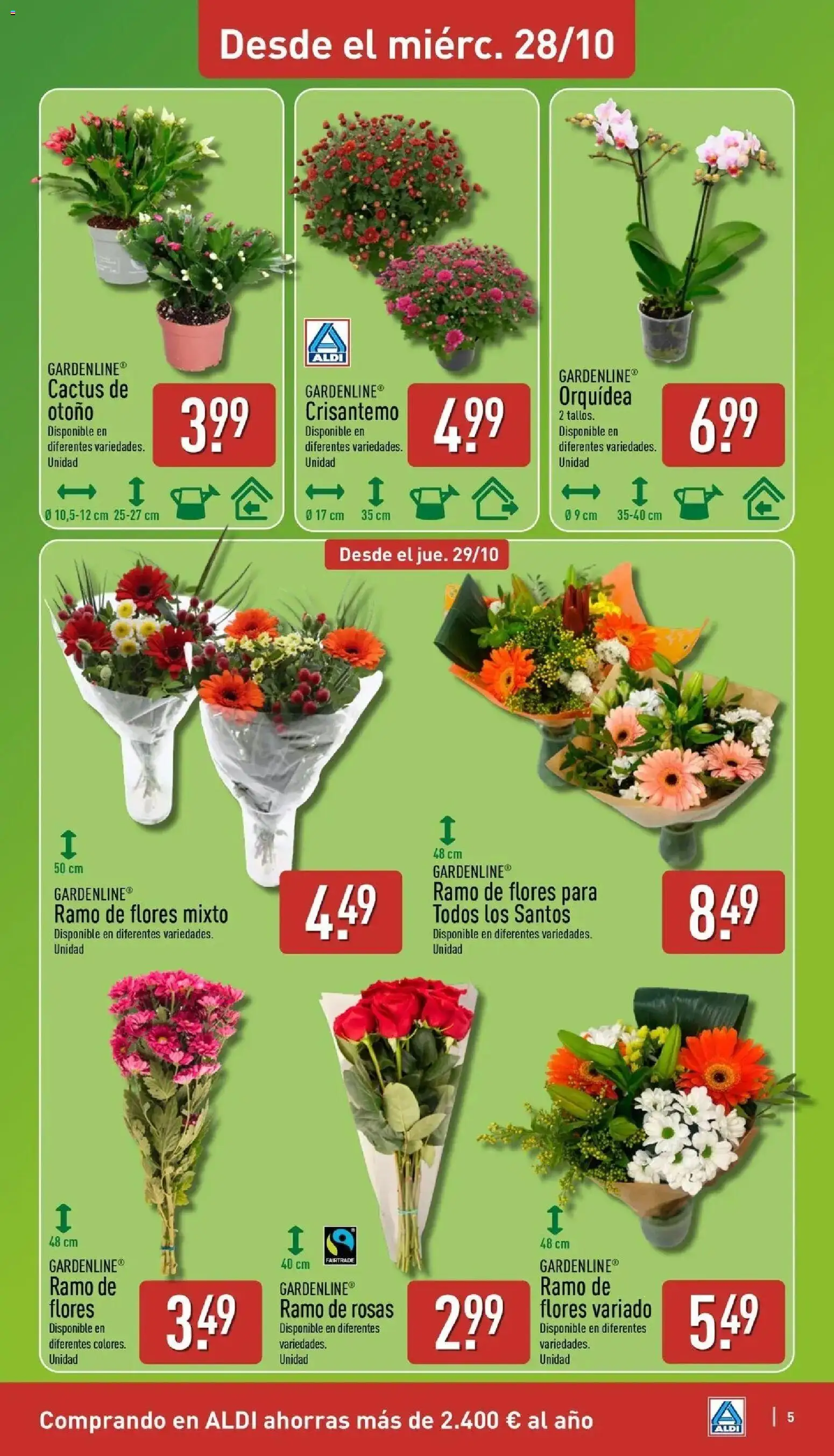 Aldi - Qué poco cuesta comprar bien │ válido desde el 26/10/2026 | Página: 5 | Productos: Orquídea, Flores