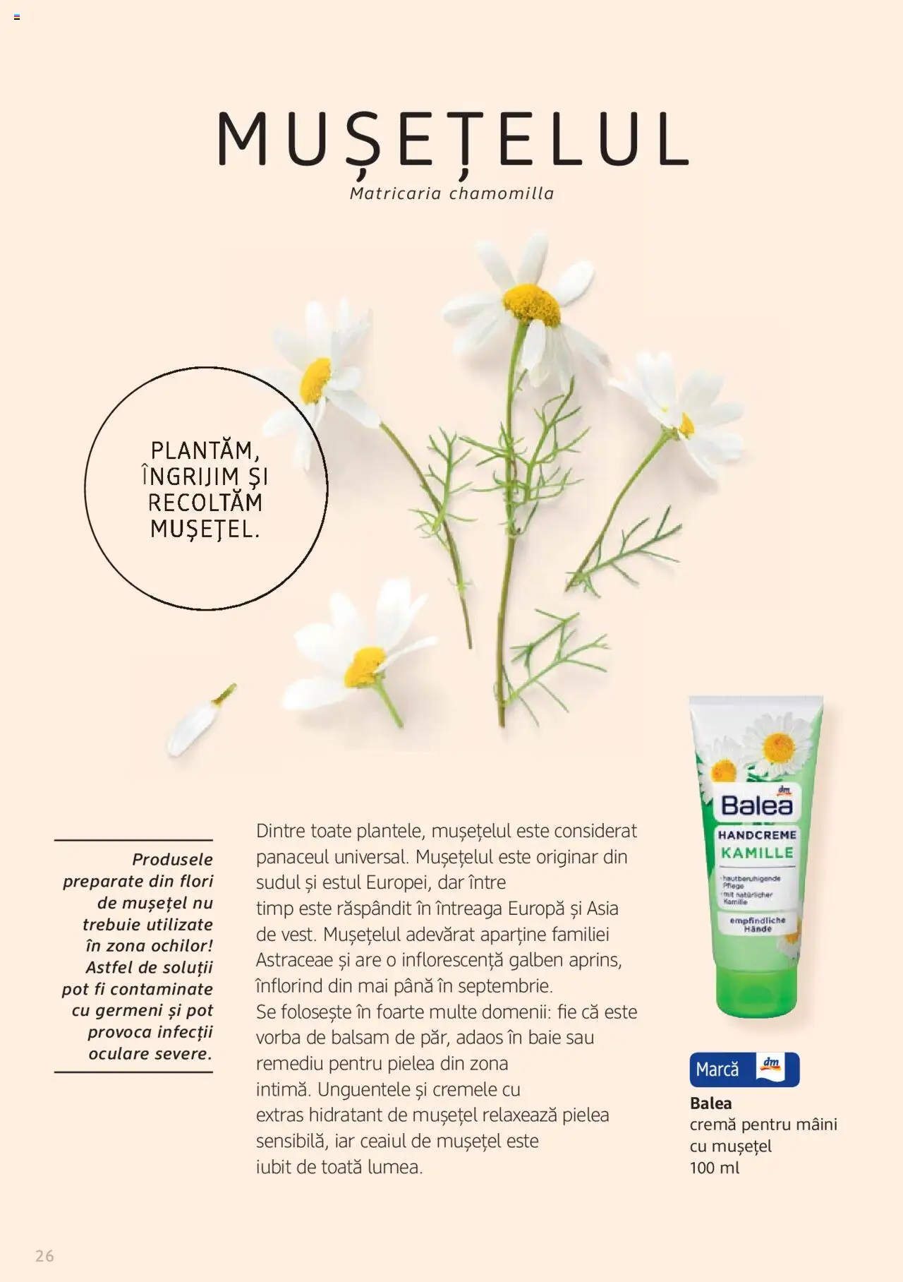 Noul catalog DM drogeriemarkt – valabil de la 01.01.2022 | Pagină: 26