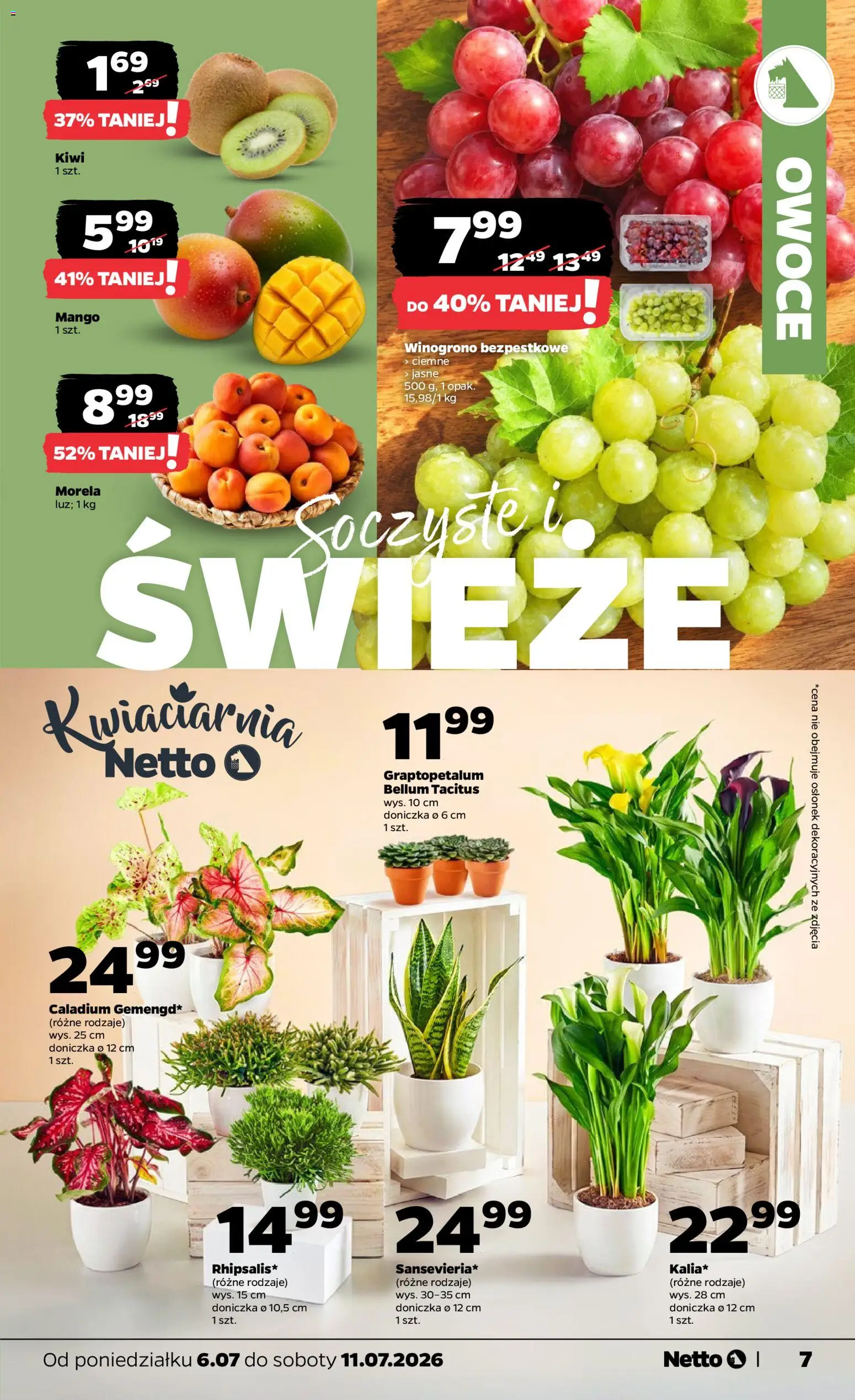 Netto gazetka od poniedziałku spożywcza od 06.07.2026 | 🔥 Mega okazje, które musisz zobaczyć! | Polska