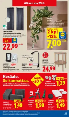 Lidl-mainoslehti voimassa 25/06/2026 alkaen | Sivu: 31