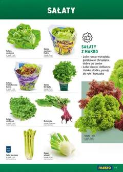 Pogląd oferty "Makro Gazetka - Ultra fresh" - ważna od 01.03.2026 | Strona: 19 | Produkty: Seler naciowy, Sałata, Botwinka