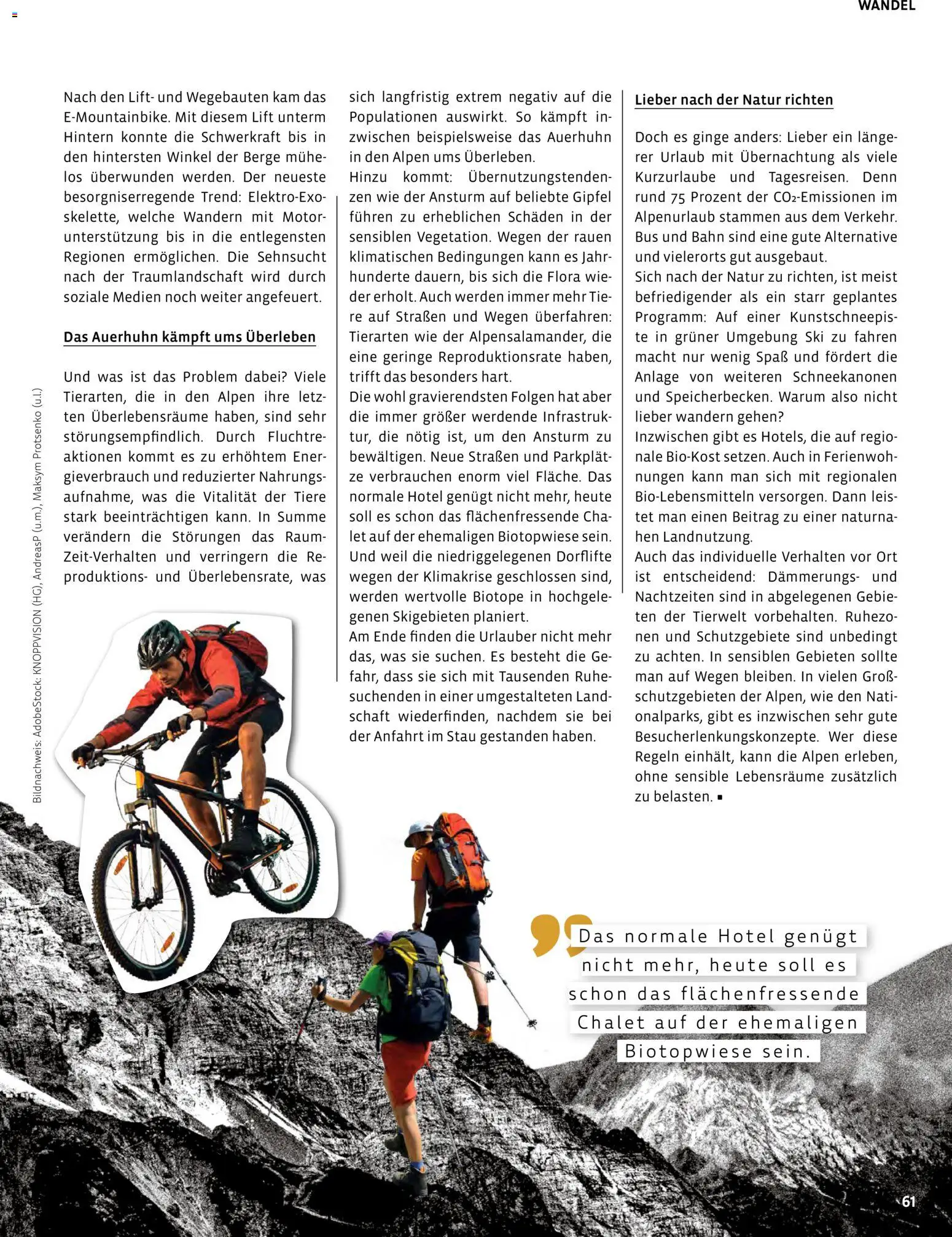 Denns BioMarkt Kreo Magazin – gültig ab 17.07.2026 | Seite: 61 | Produkte: Ski