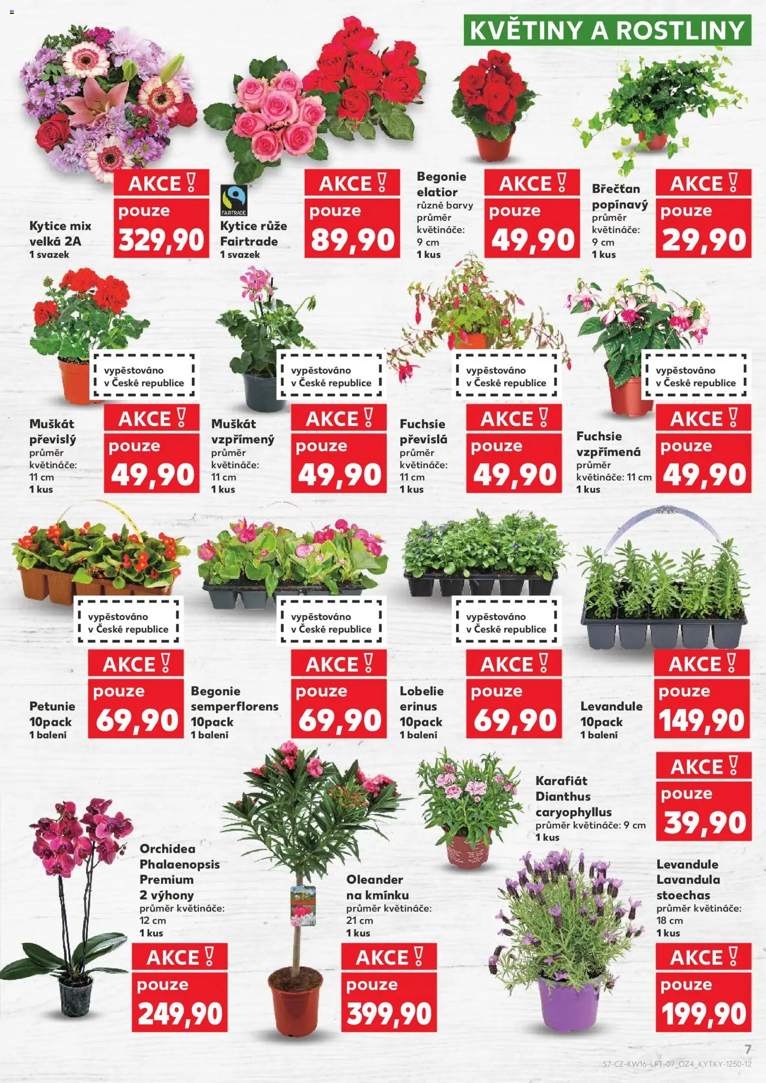 Kaufland leták - Brno od 15.04.2026 | Strana: 7 | Produkty: Květináče, Rostliny, Kytice, Barvy