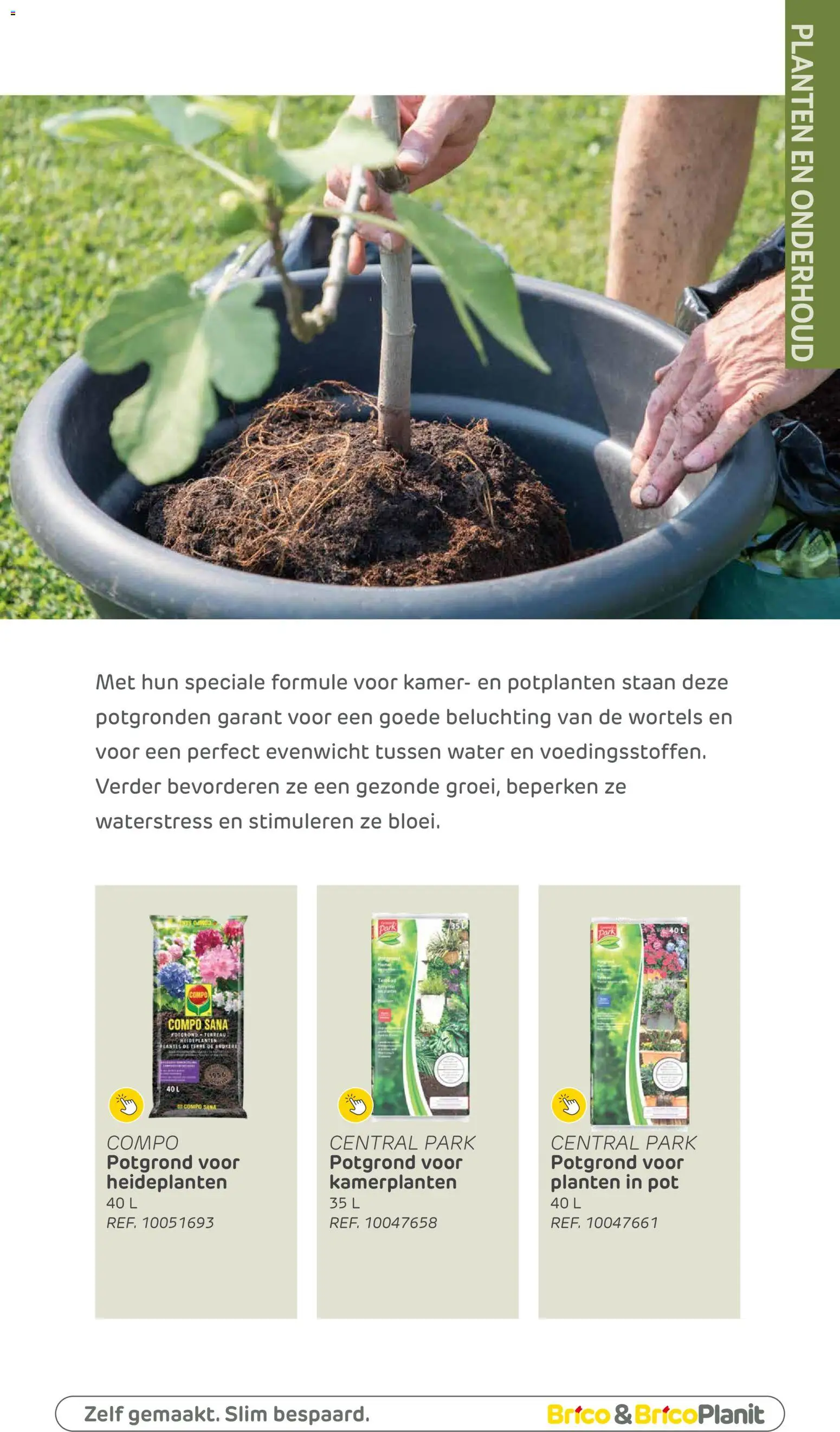 {H1} | Pagina: 158 | Producten: Kamerplanten, Pot