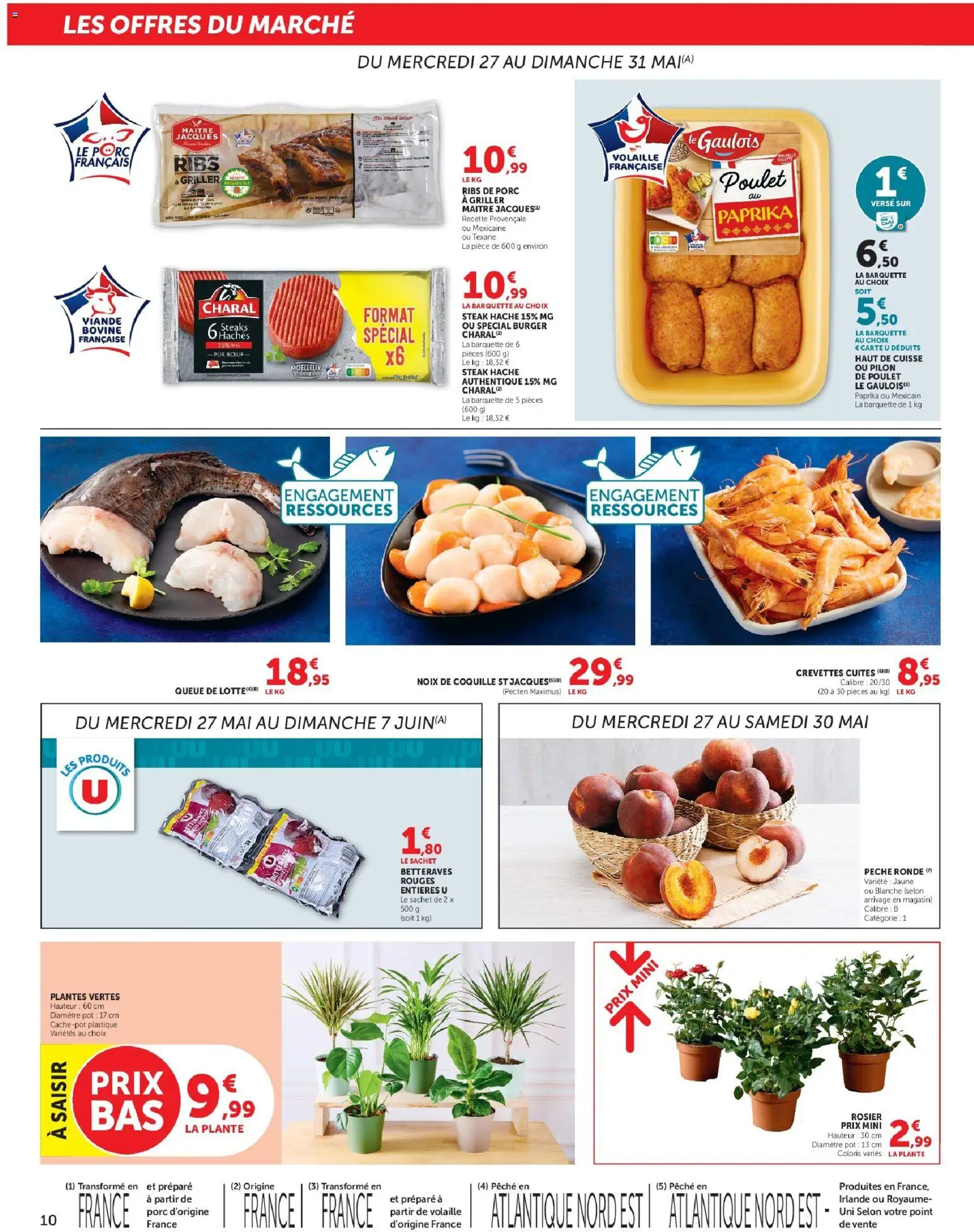 {H1} | Page: 10 | Produits: Rosier, Pêche, Plantes, Crevettes