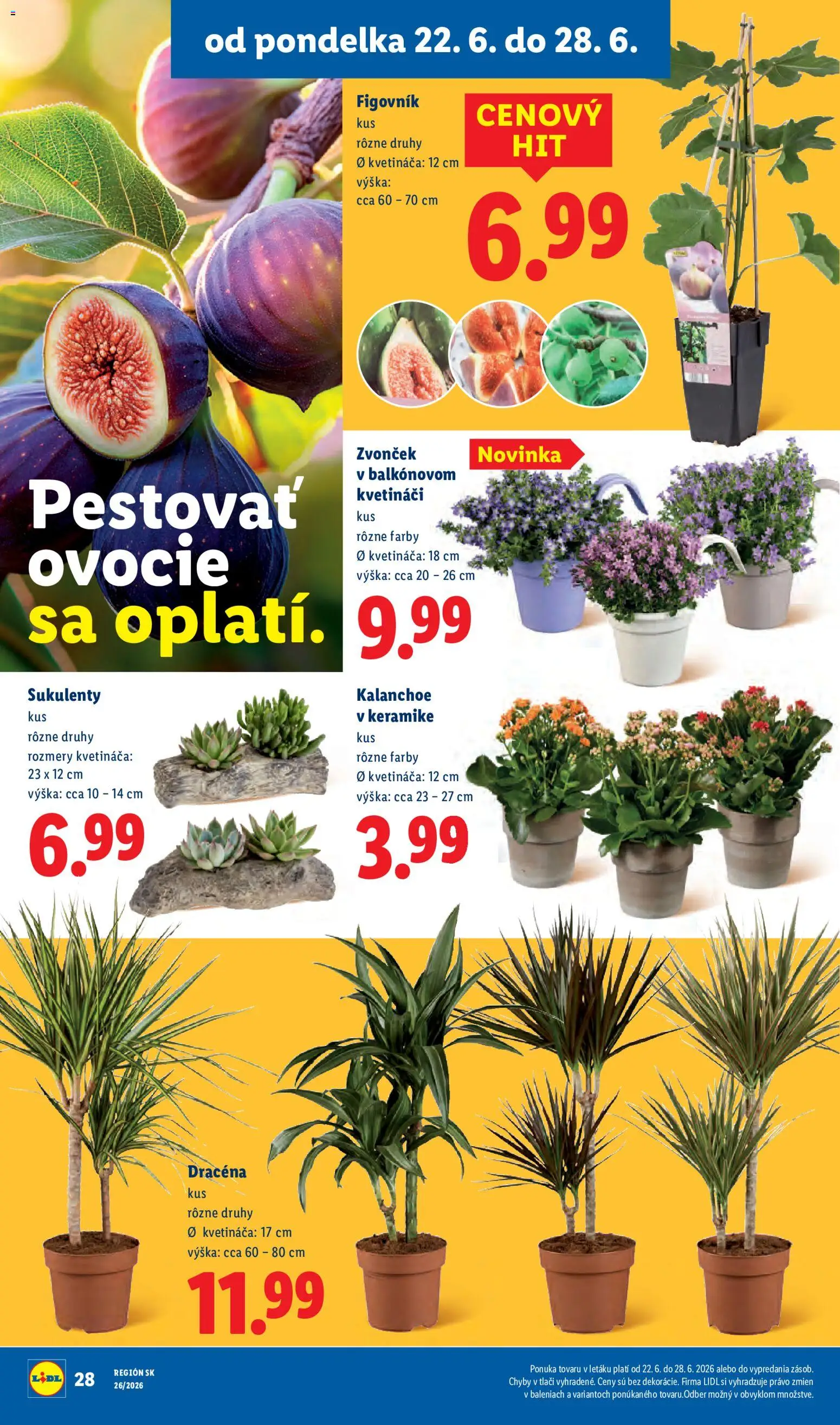 Nové Lidl akcie – leták je platný od 22.06.2026 | Strana: 40