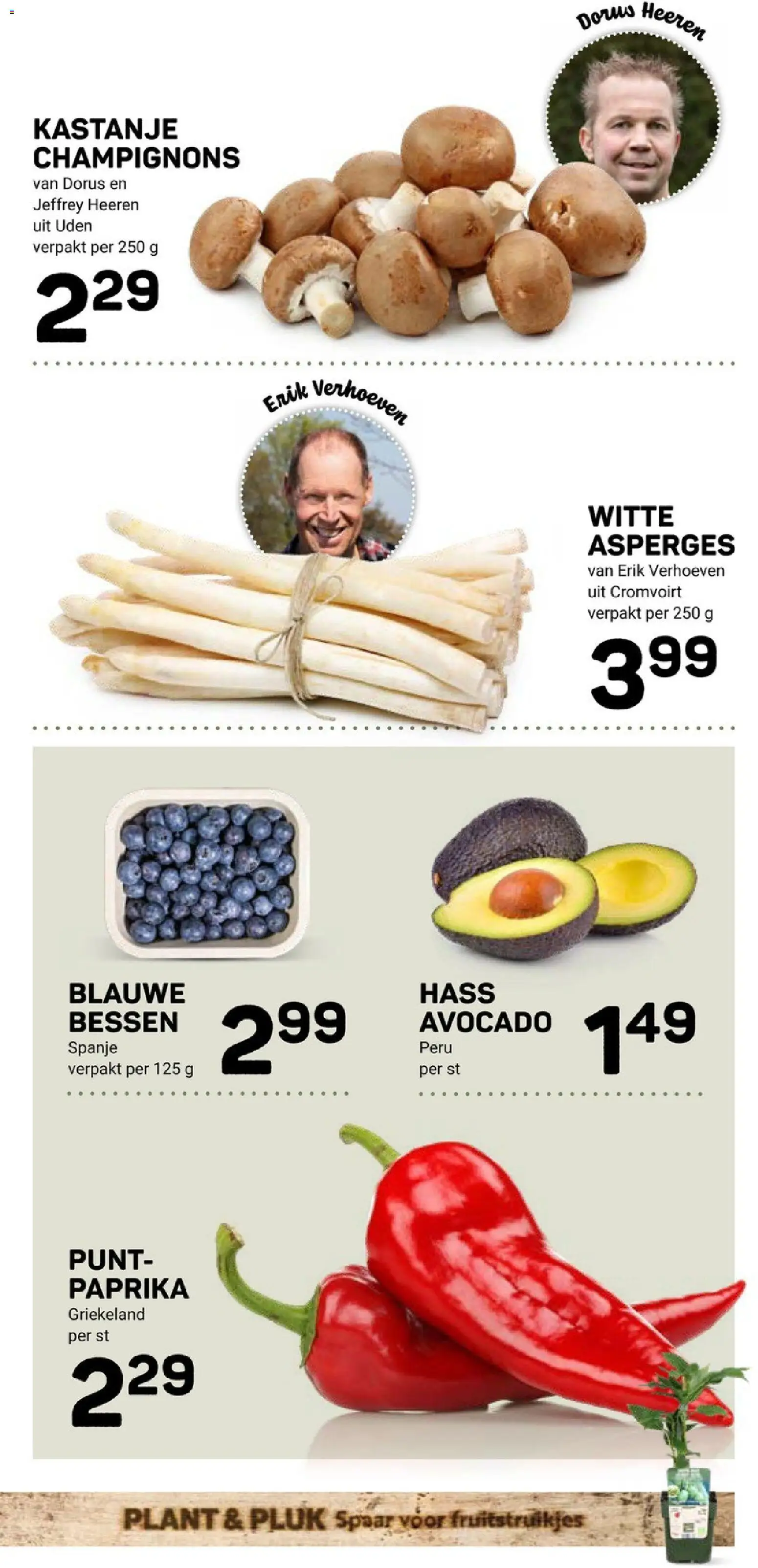 {H1} | Pagina: 9 | Producten: Avocado, Asperges, Kész piskótalap