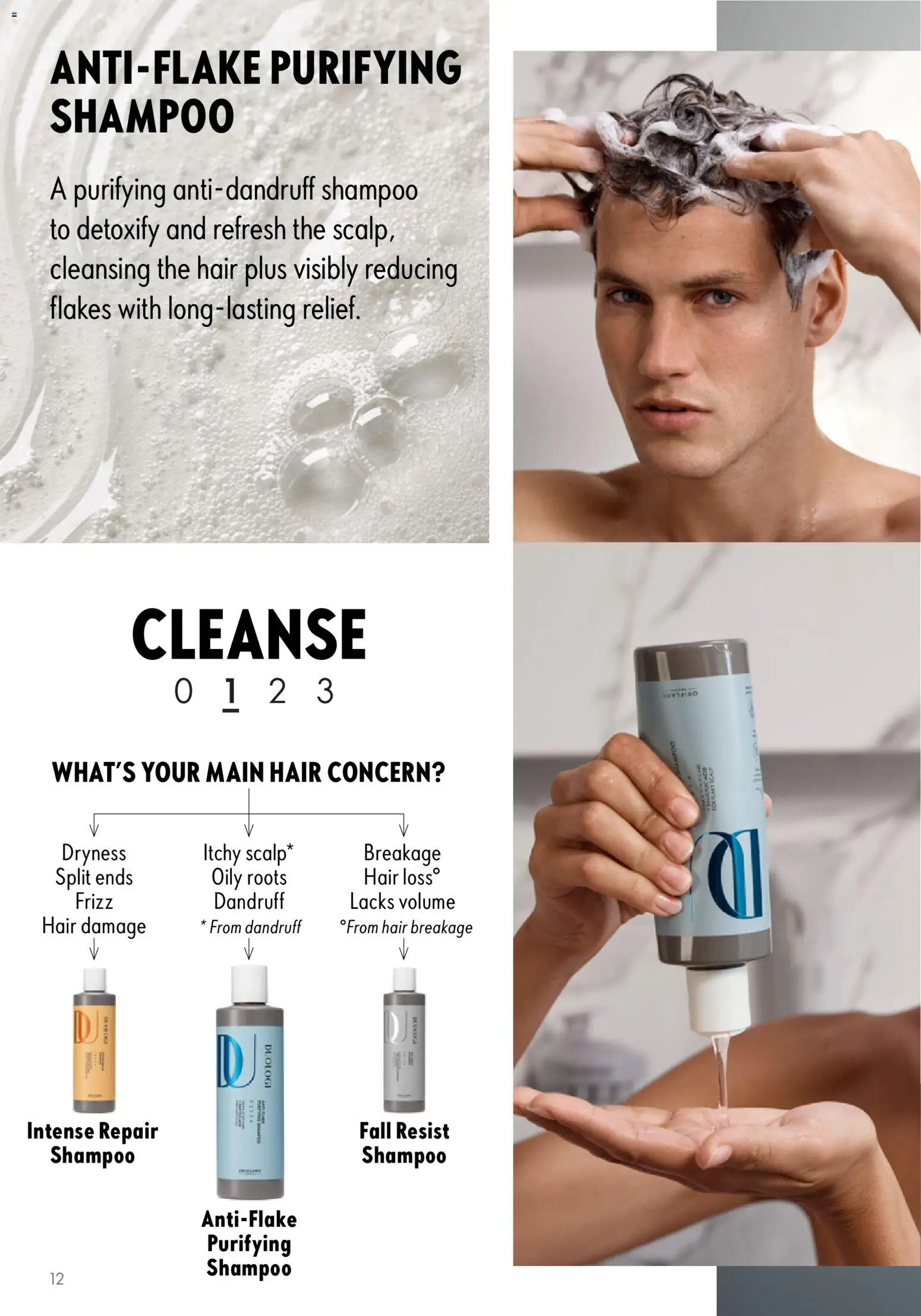 {H1} | Page: 12 | Products: Shampoo, Flakes