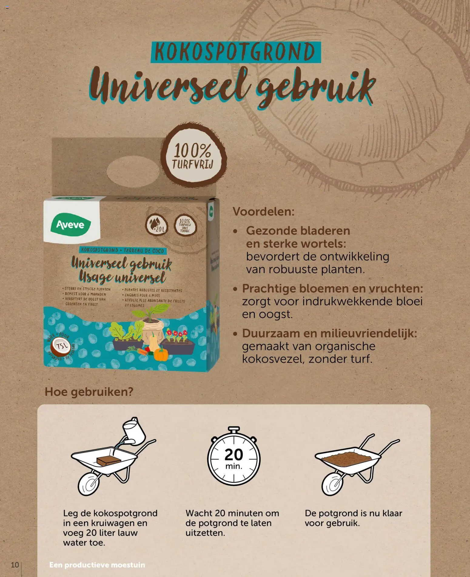 {H1} | Pagina: 10 | Producten: Bloemen, Fruit, Groenten