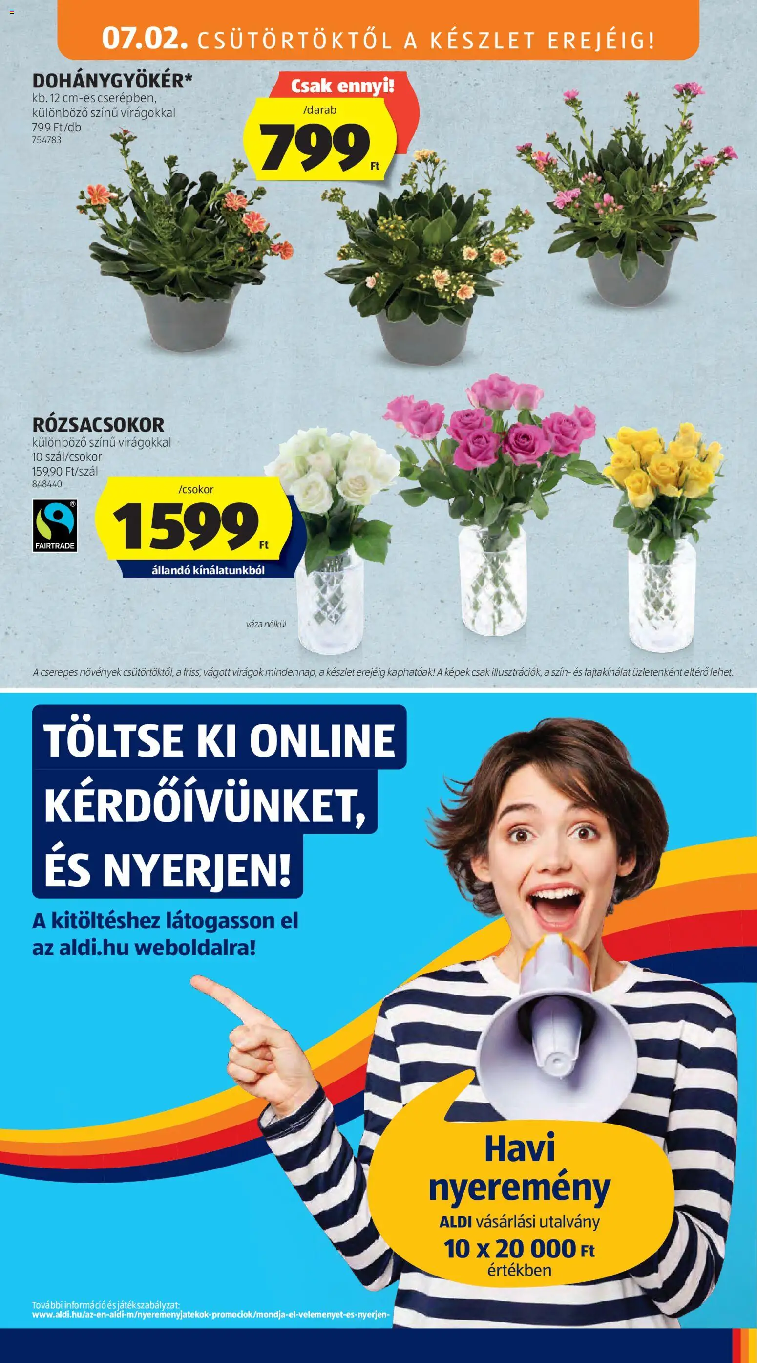 Aldi akciós ujság - amely érvényes a következő dátumtól: 2026.07.02. | Oldal: 21 | Termékek: Virágok, Váza