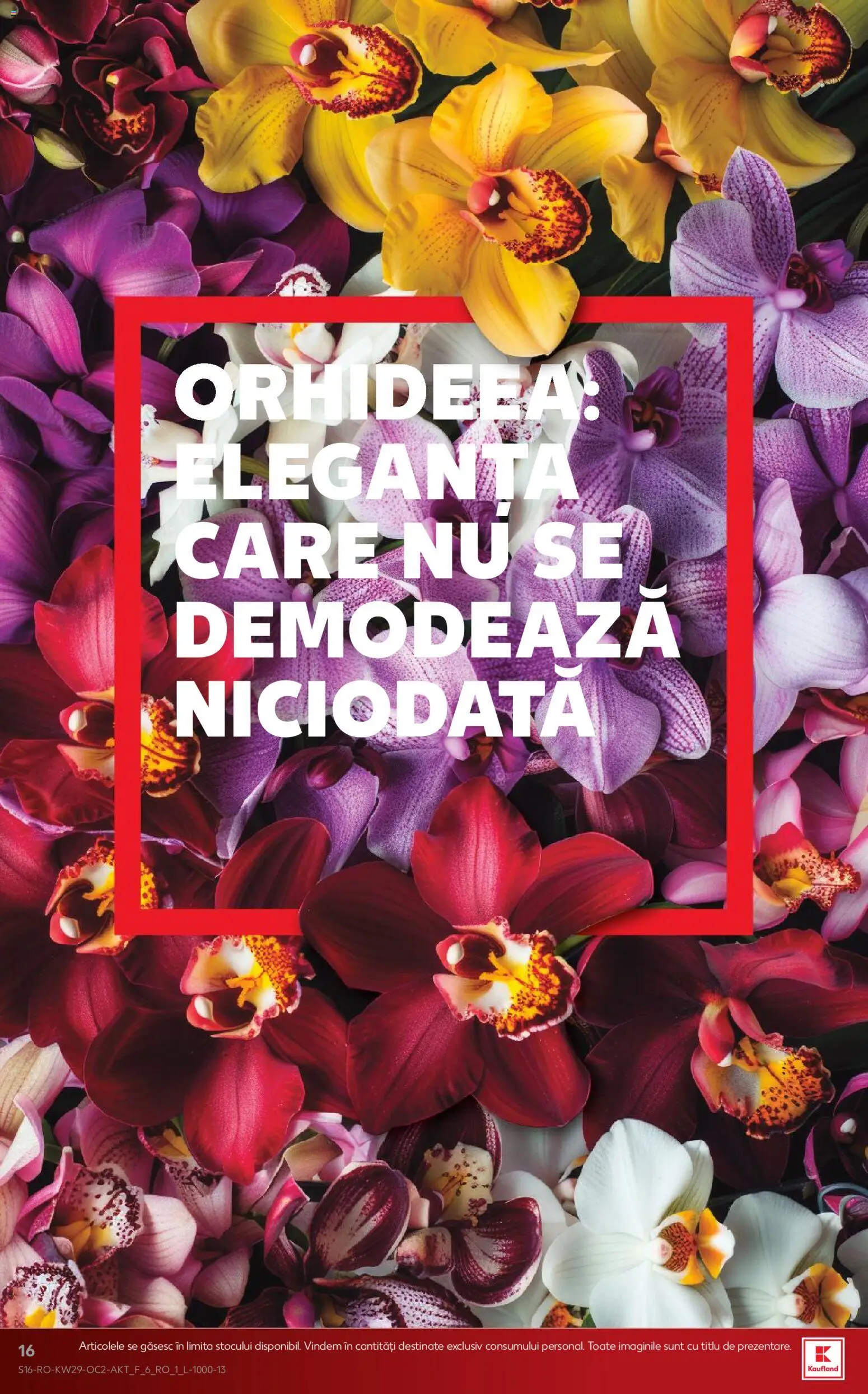Kaufland RO akciós ujság - amely érvényes a következő dátumtól: 2026.07.15. | Oldal: 16