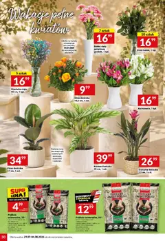 Pogląd oferty "Twój Market gazetka" - ważna od 29.07.2026 | Strona: 30 | Produkty: Karta, Kalatea, Doniczka, Kwiaty