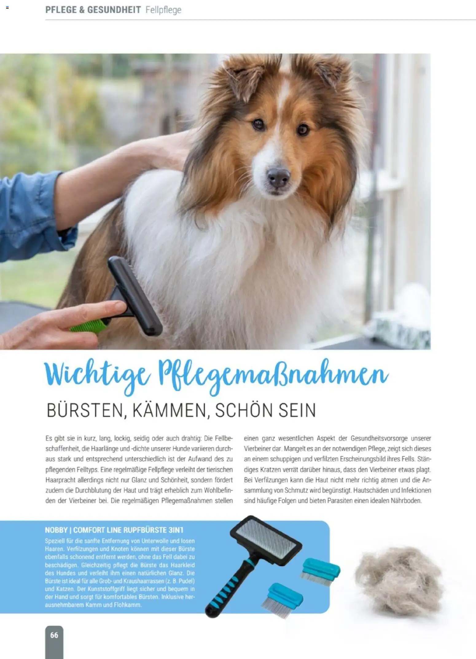 zookauf Themenkatalog Hund – gültig ab 18.05.2026 | Seite: 66 | Produkte: Bürste