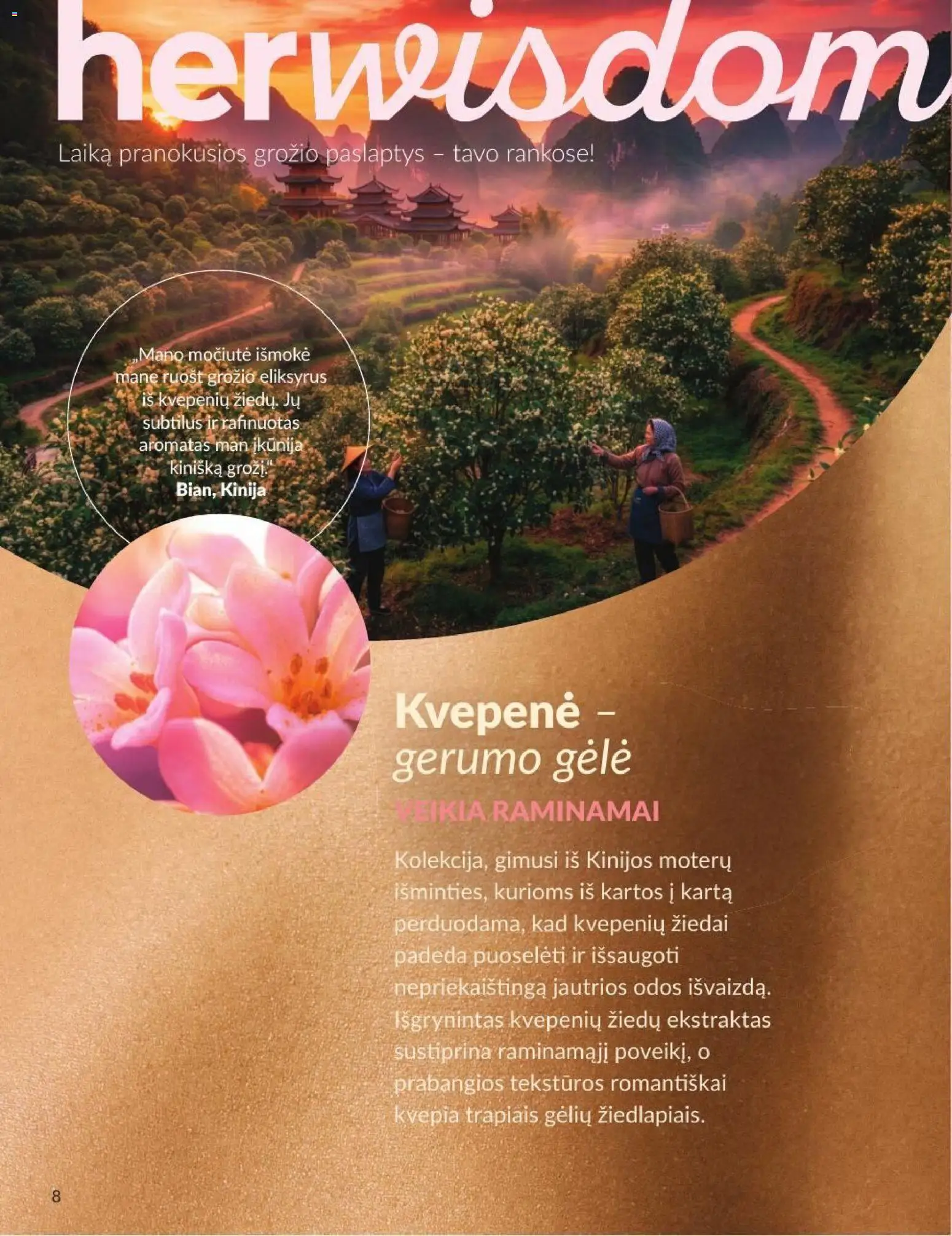 AVON akcijos nuo 2026.09.01 | Puslapis: 8