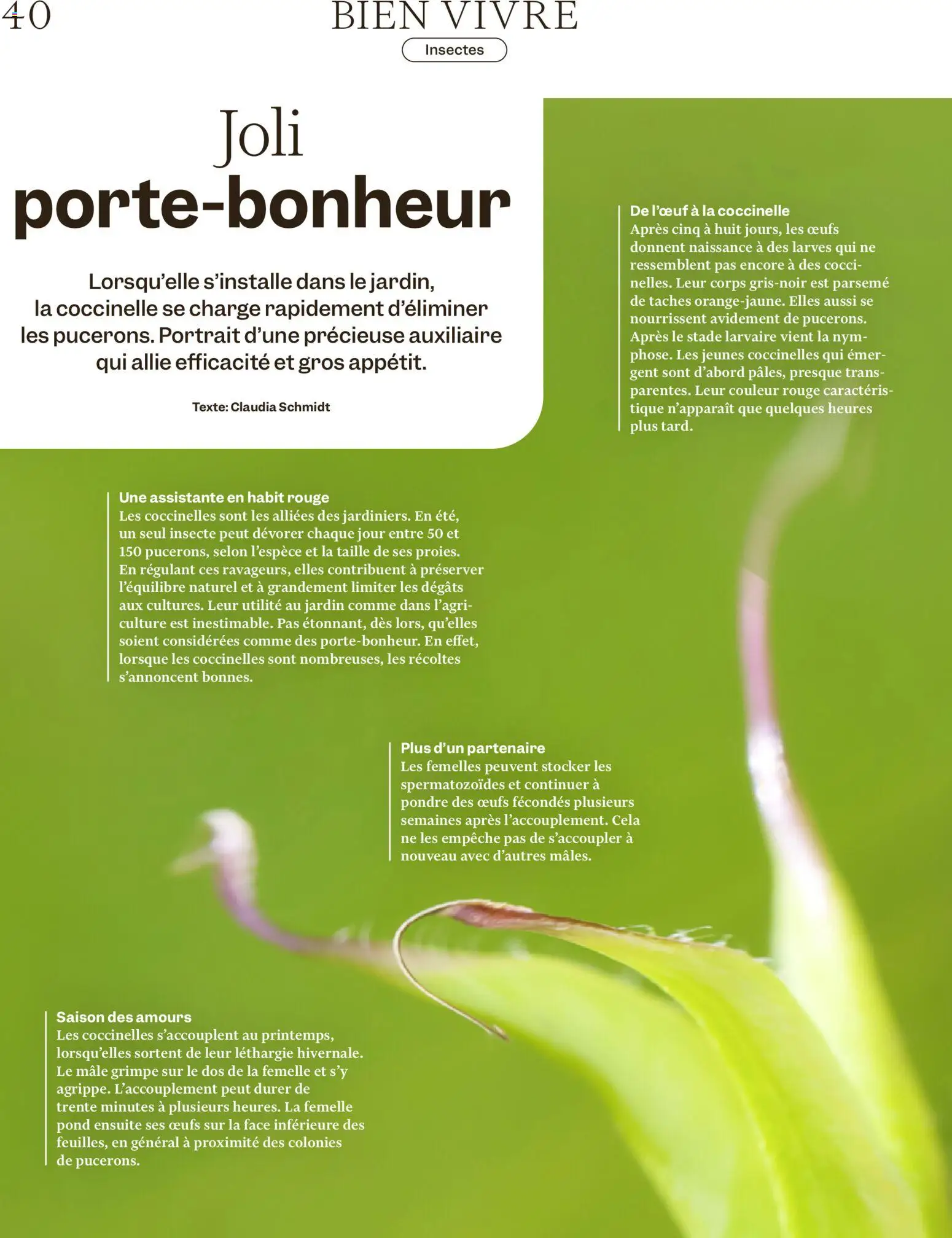 Migros aktionen Magazine FR – gültig ab 29.07.2026 | Seite: 40 | Produkte: Rouge