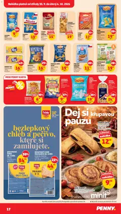 Náhled letáku TORTILLA CHIPS SALTO, TORTILLA CHIPS SALTO různé druhy 200 g od 30.09.2026 | Strana: 17