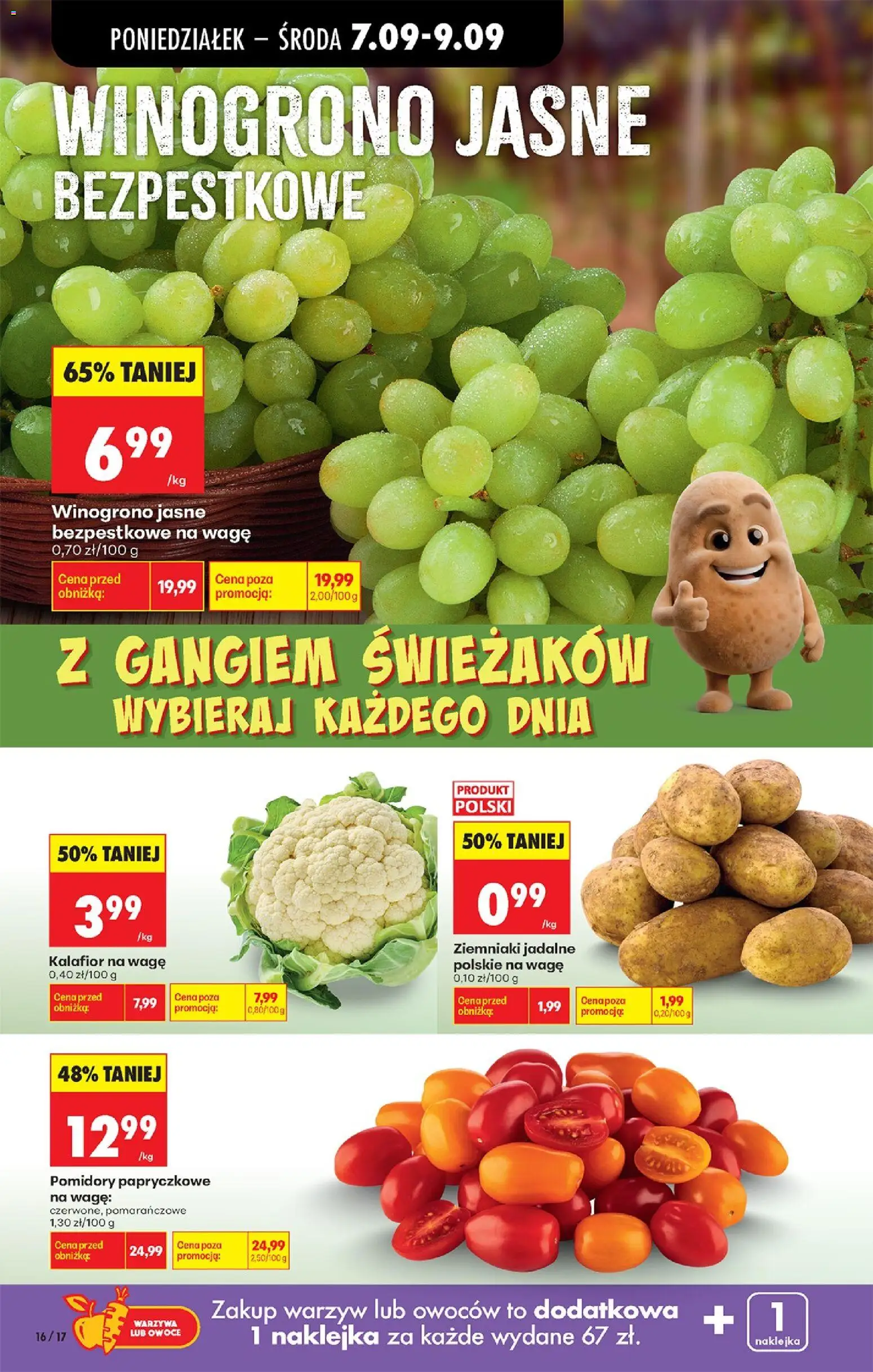 Biedronka gazetka od poniedziałku od 07.09.2026 | Strona: 22