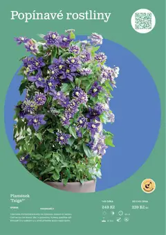 Náhled letáku Starkl katalog od 25.02.2026 | Strana: 21 | Produkty: Rostliny