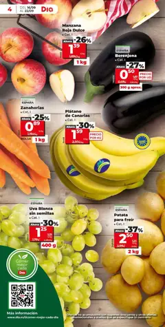 Vista previa Manzana Roja Dulce, Manzana Roja Dulce - Cat. I válido desde el 16/09/2026 | Página: 4 | Productos: Dulce, Berenjena, Apple, Zanahorias