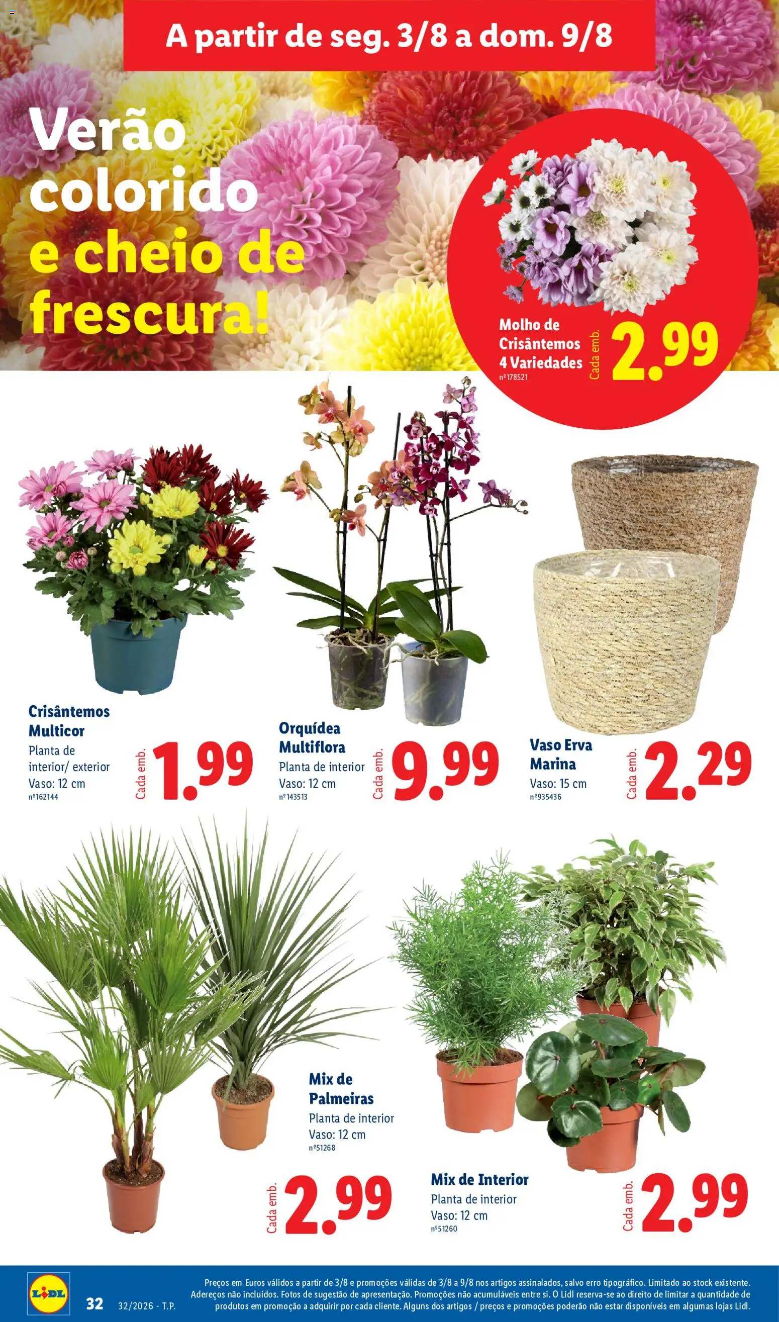 Lidl folheto │ válido de 03/08/2026 | Página: 32 | Produtos: Orquídea, Vaso