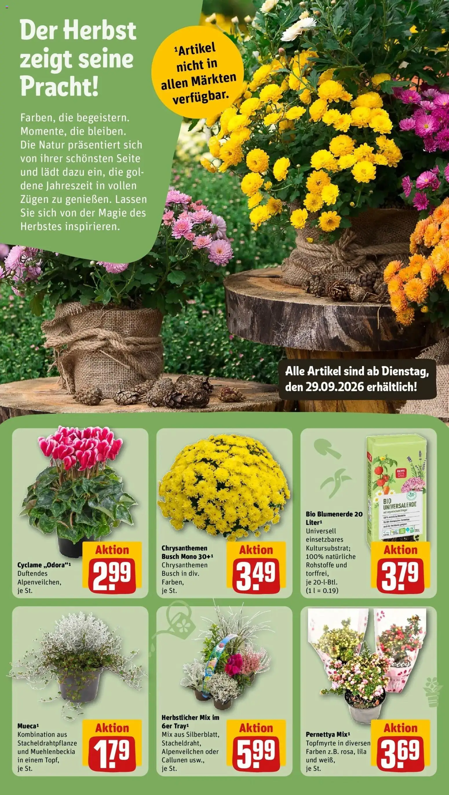 REWE Prospekt ab 28.09.2026 zum Blättern » Angebote | Seite: 15 | Produkte: Blumenerde