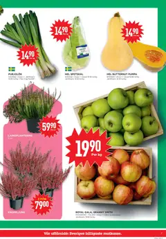 Willys erbjudanden - Förhandsvisning av reklamblad från butik Willys aktuell från 21/09/2026 | Sida: 7 | Produkter: Galler, Purjolök, Pumpa