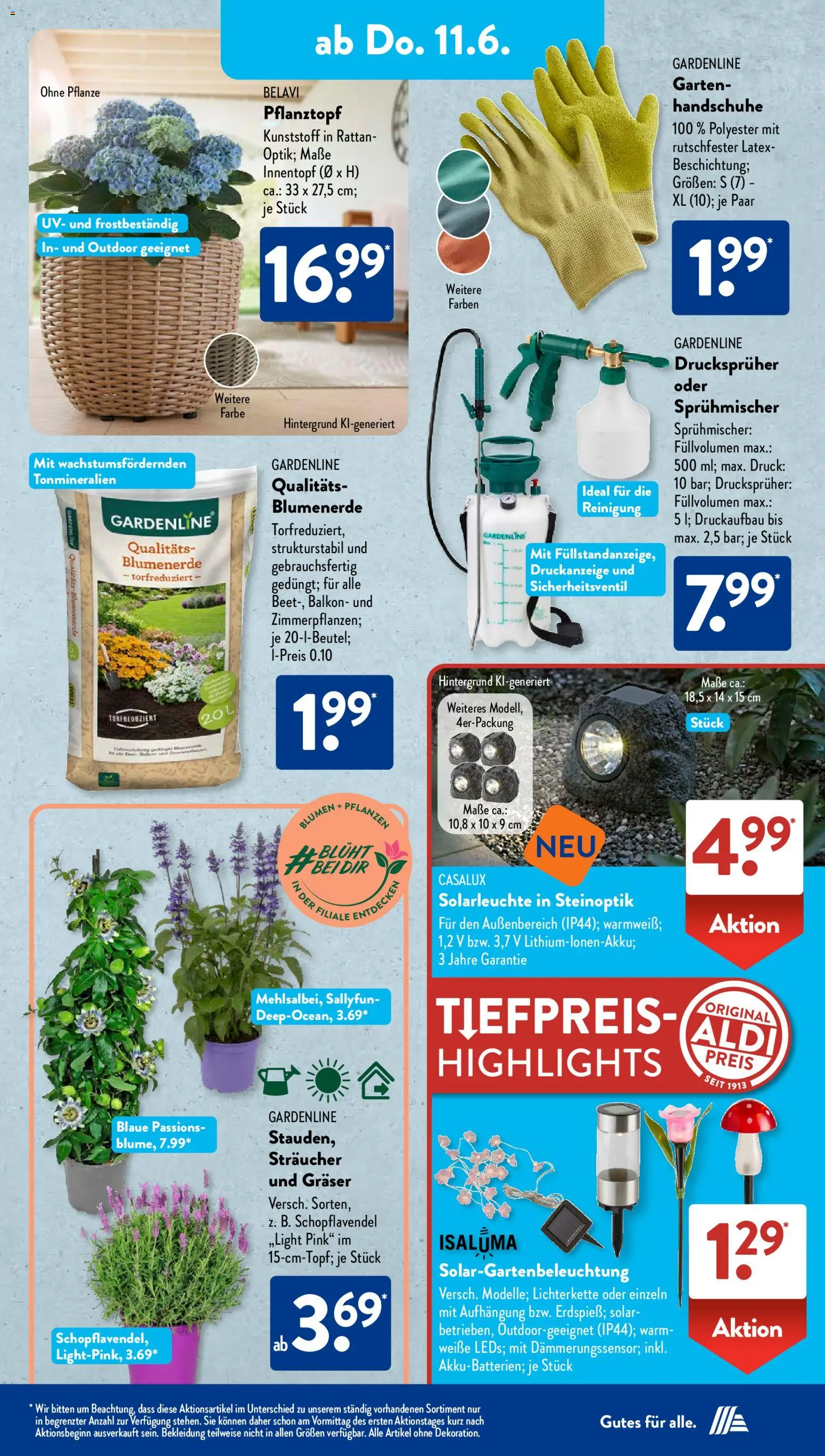 Aldi Süd Prospekt – gültig ab 08.06.2026 | Seite: 8 | Produkte: Belavi, Blumenerde, Solarleuchte, Bekleidung