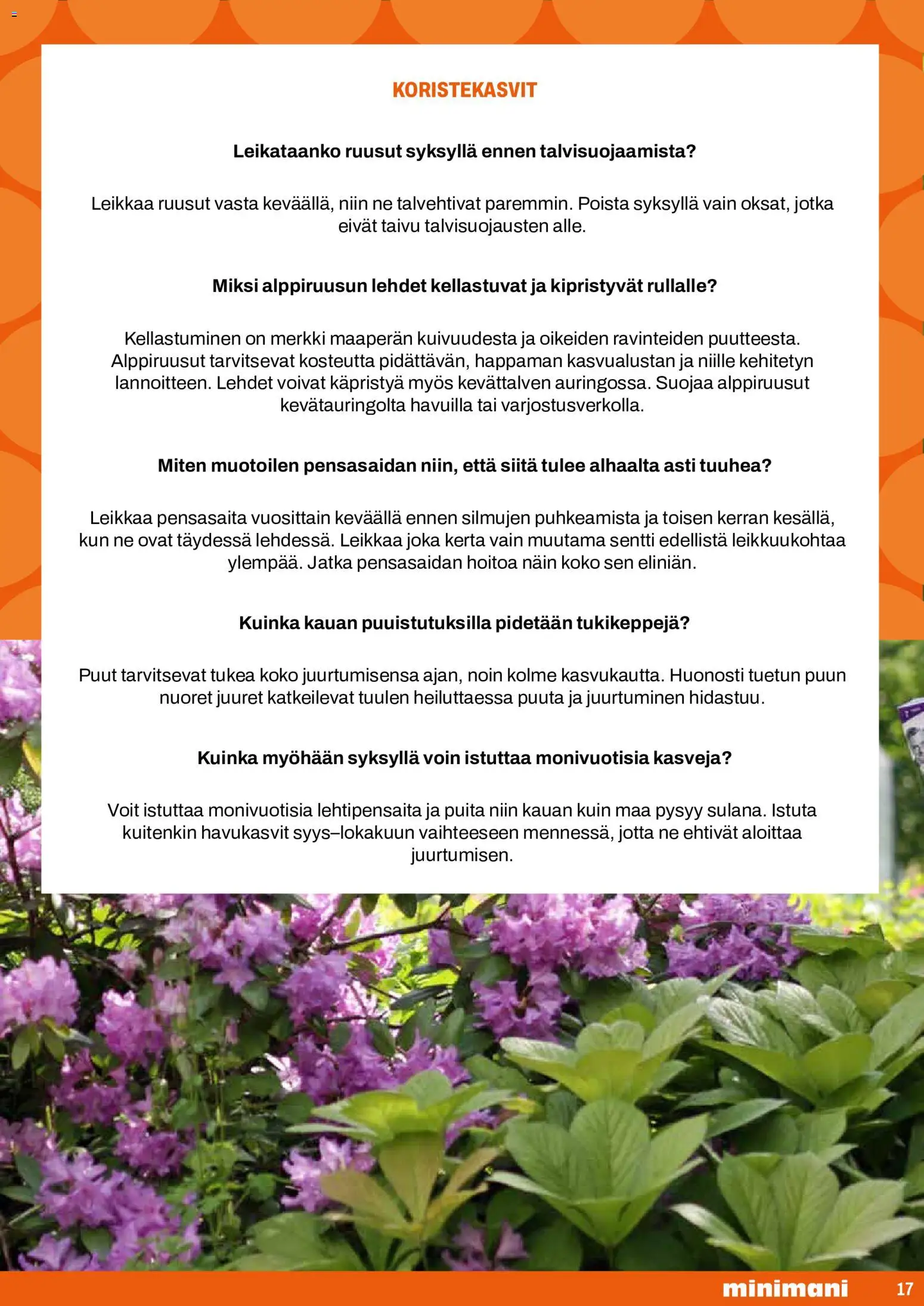 Minimani kuvasto - GreenCare – voimassa 18.05.2026 alkaen | Sivu: 17
