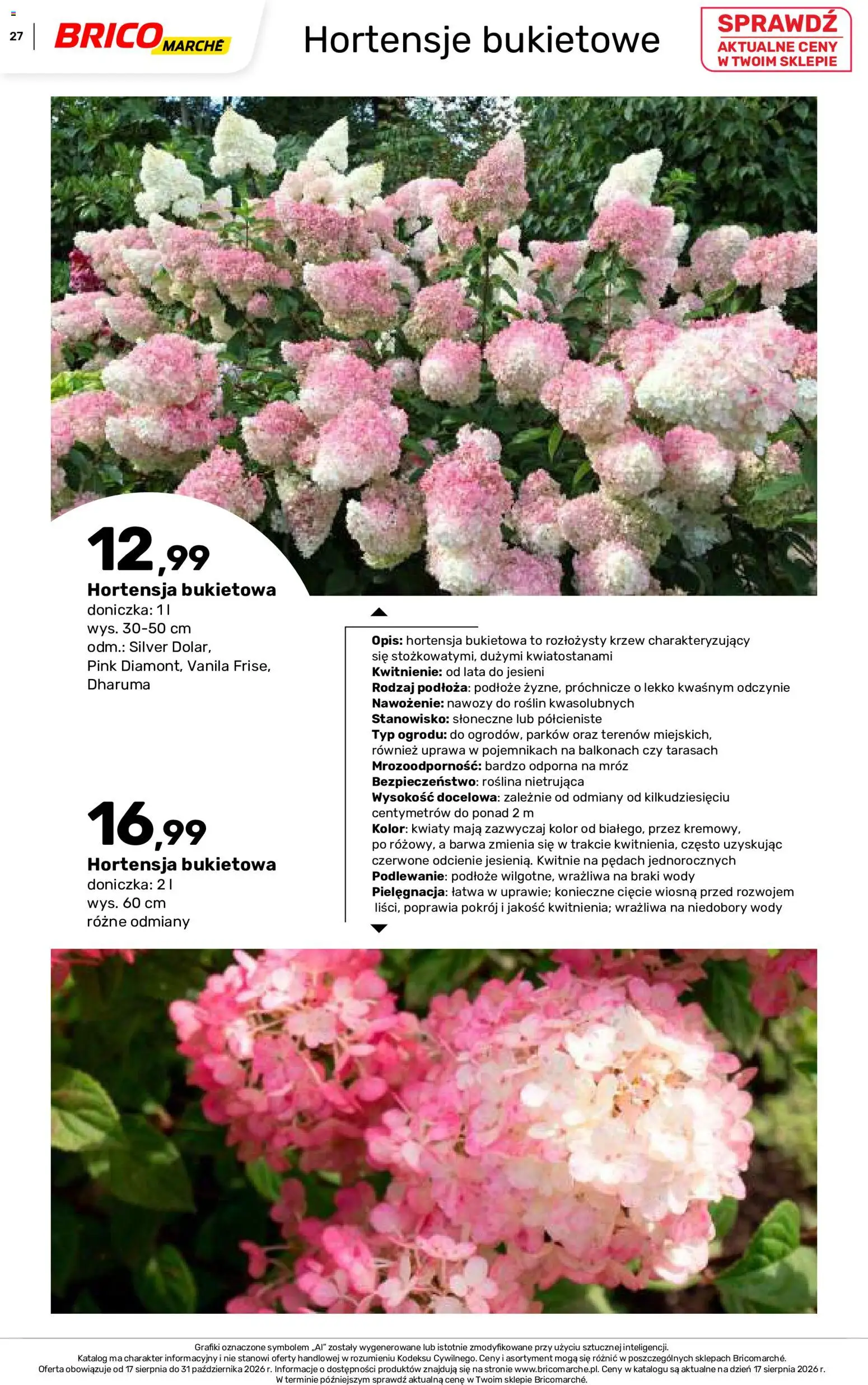 Brico Marché gazetka - Jesienne Inspiracje od 17.08.2026 | Strona: 27 | Produkty: Podłoże, Doniczka, Kwiaty, Hortensja