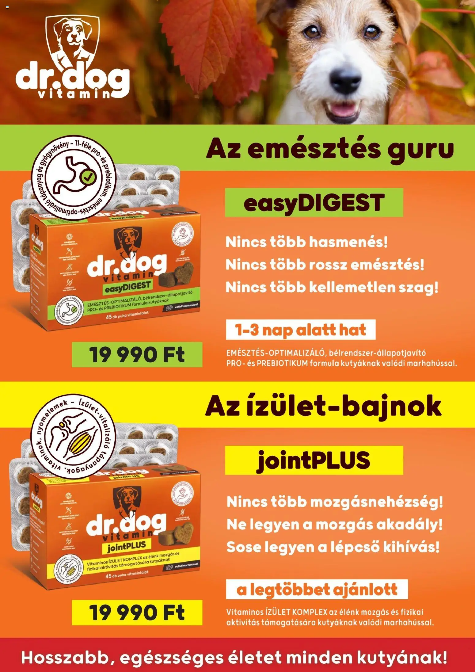 AlphaZoo akciós ujság - amely érvényes a következő dátumtól: 2026.10.08. | Oldal: 21 | Termékek: Vitamin